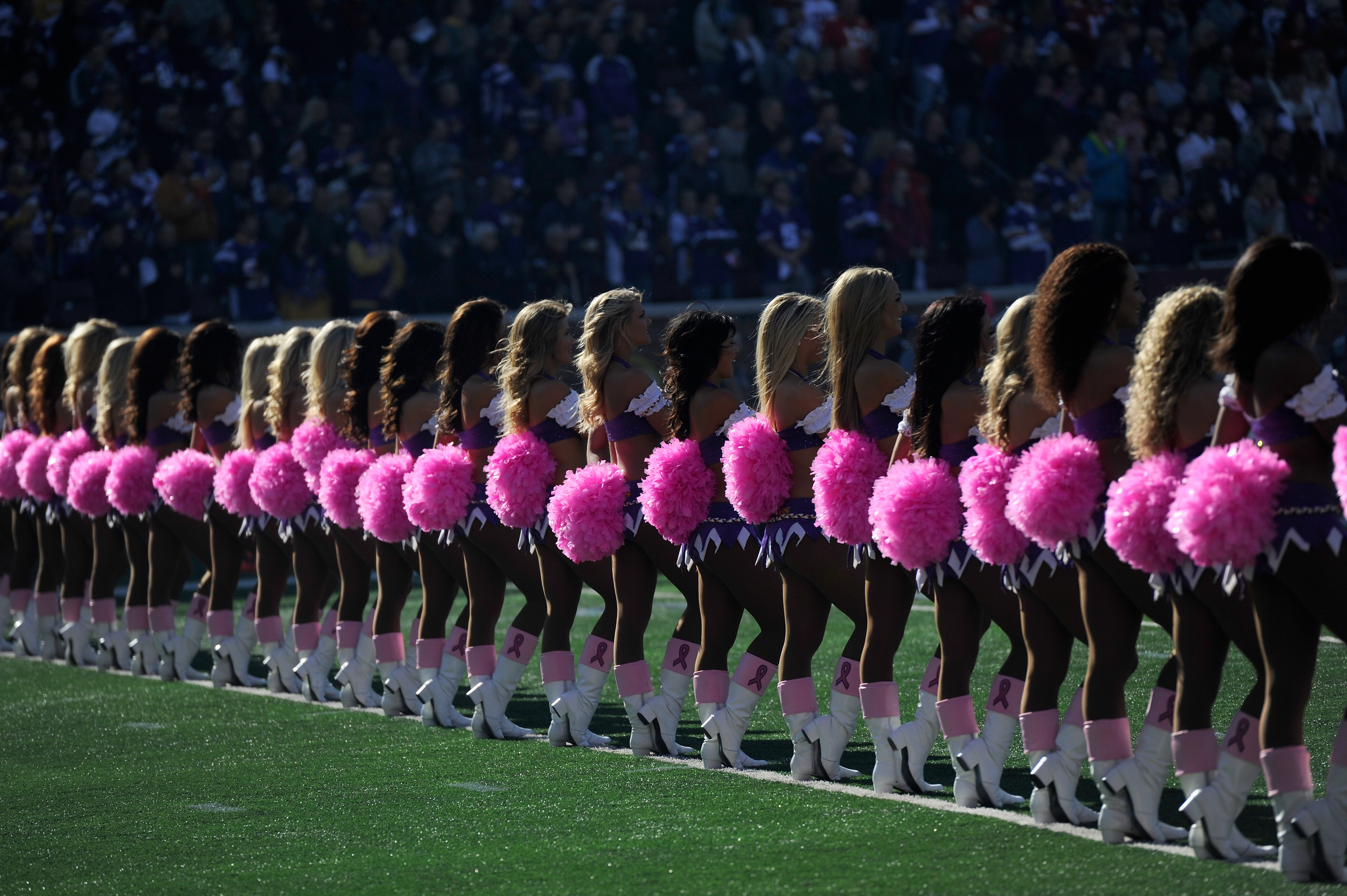 Awareness Pink Cheer Poms – The Future Fan