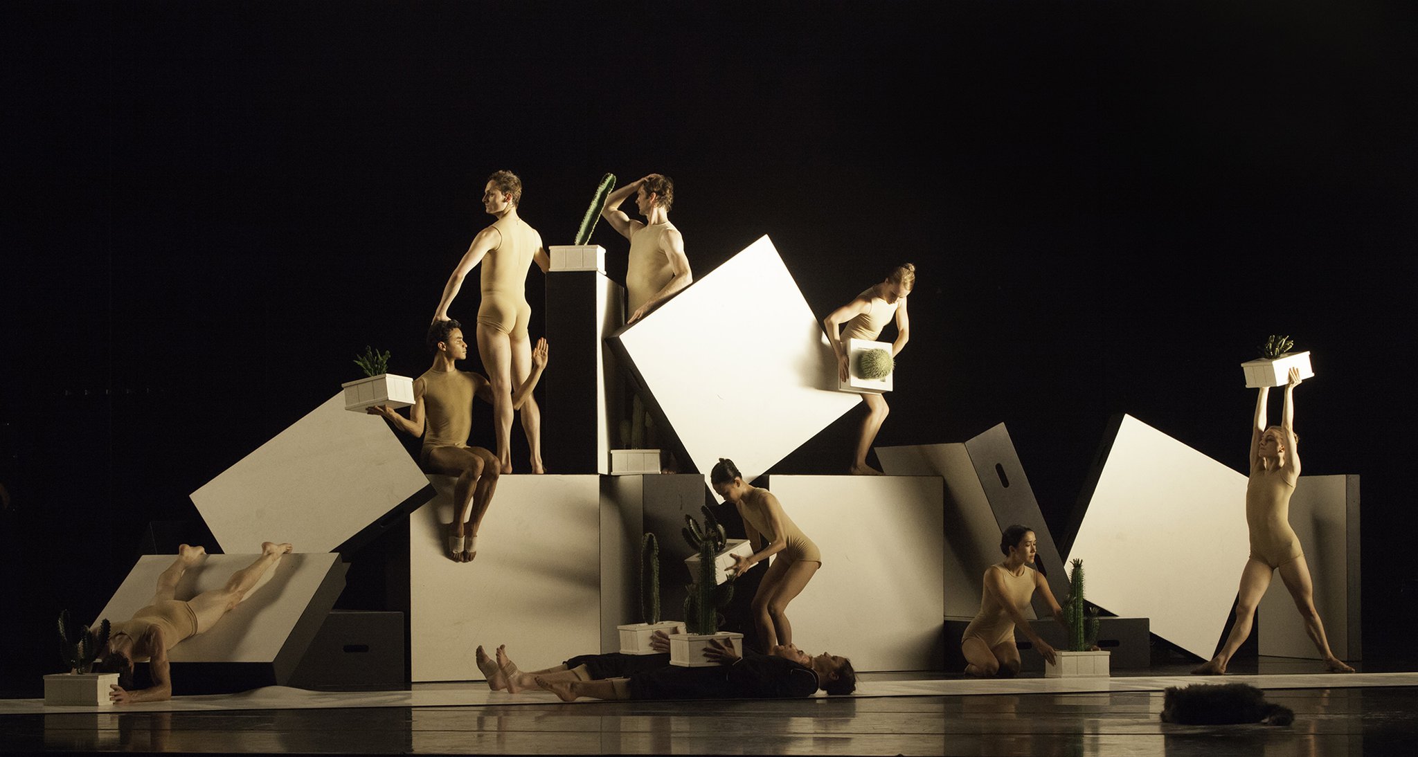 Next March, Atlanta Ballet will reprise Alexander Ekman’s “Cacti,” shown here in its 2015 Atlanta Ballet premiere. CONTRIBUTED BY CHARLIE MCCULLERS / ATLANTA BALLET