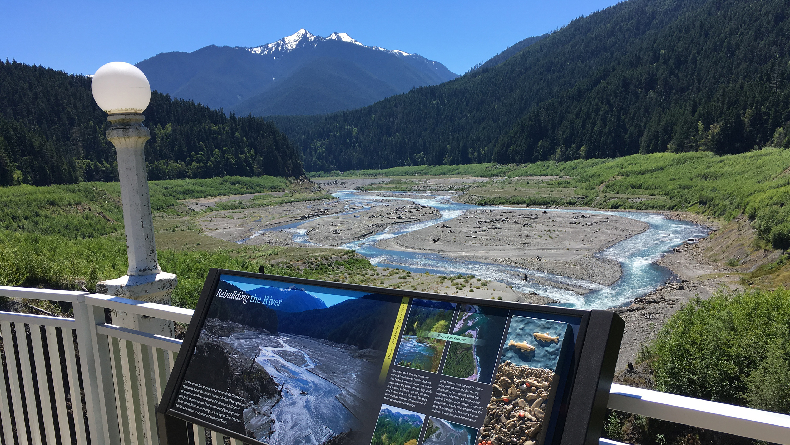At Elwha River, forests, fish and flowers where there were dams and lakes