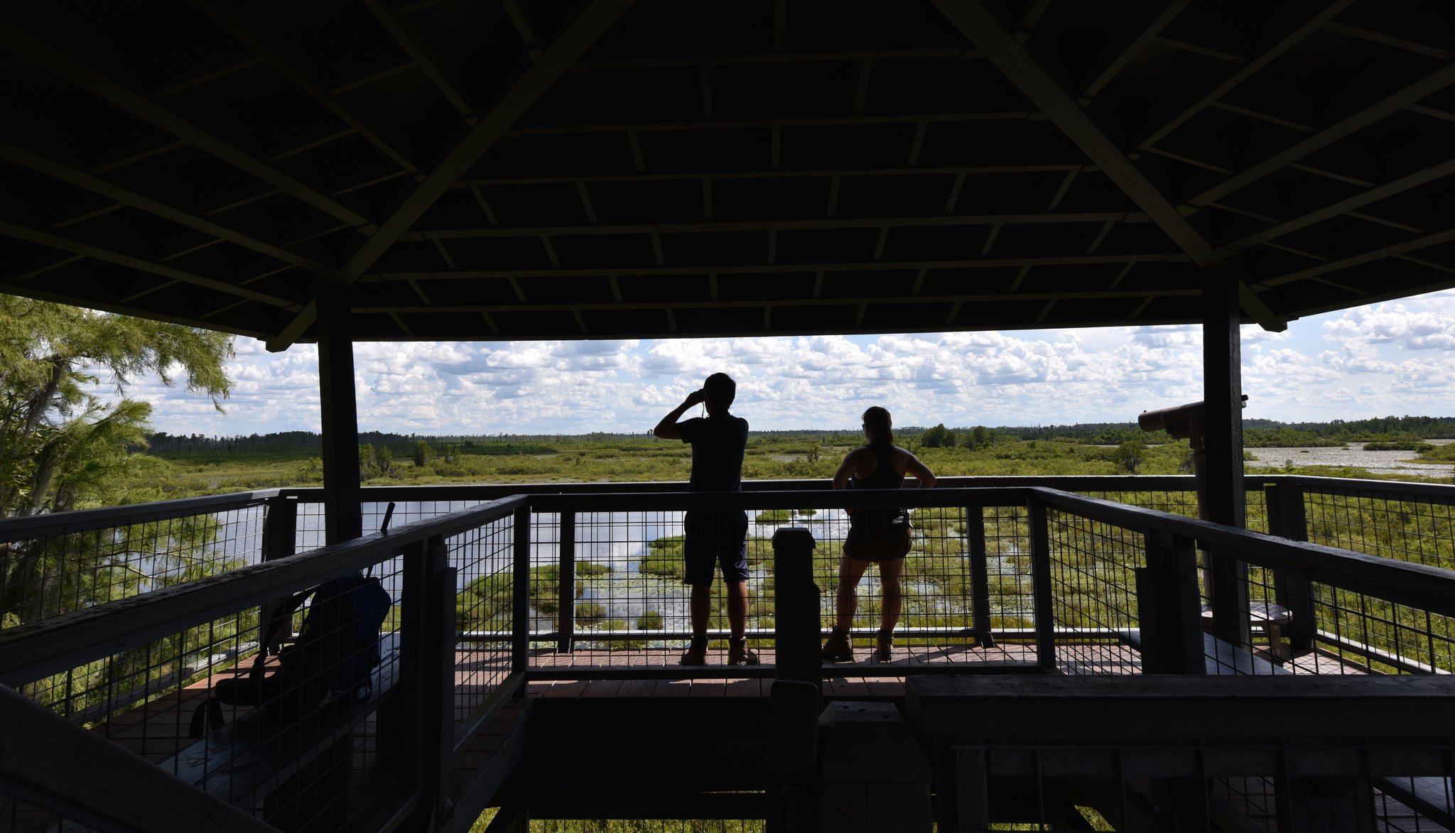 Tourists enjoy the view from the Owls Roost Tower in Okefenokee National Wildlife Refuge in Folkston in August 2019. Residents in the area are concerned that a mining proposal may harm the swamp and the surrounding rivers. They hope Twin Pines Minerals will provide more information about potential impacts of its proposed mining operation.