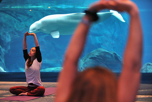 Baby & Me Yoga - Georgia Aquarium