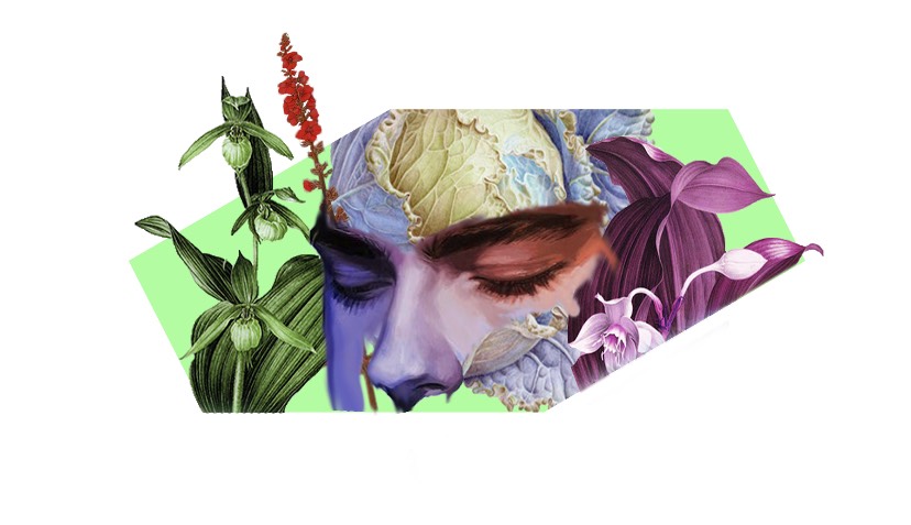 Muta Santiago's "Mural My Nature Is Not Silent” will be seen on the side of Taqueria Tsunami.