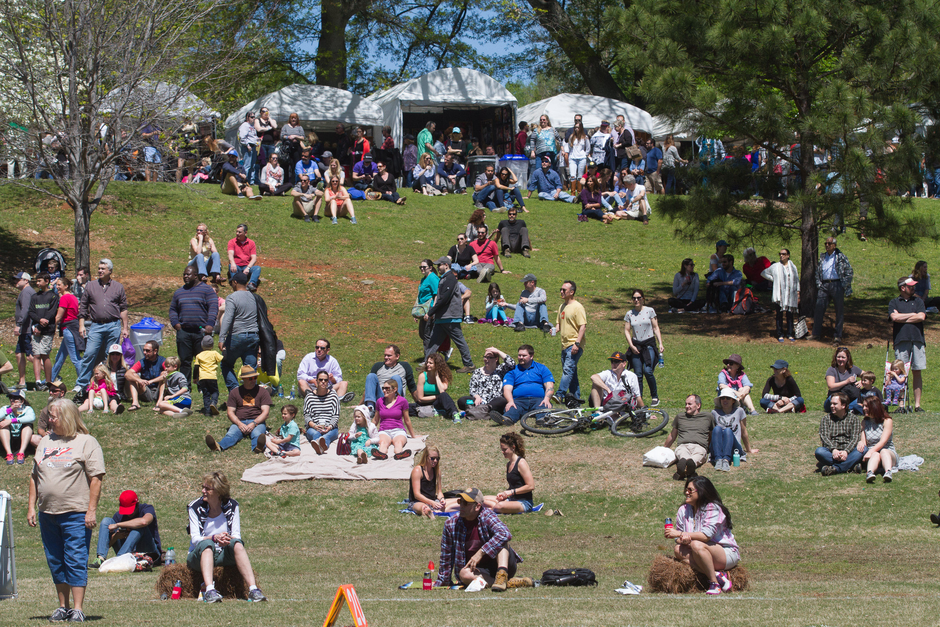 Dogwood Festival Shelbyville Ky 02 - igcgebz
