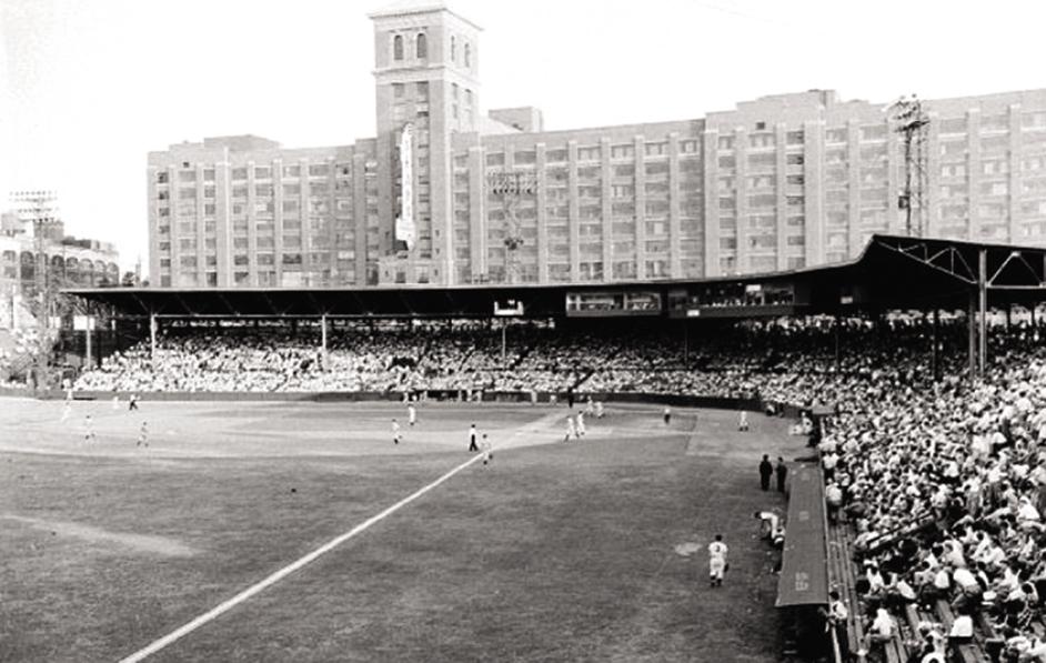 Store - Ponce de Leon Baseball