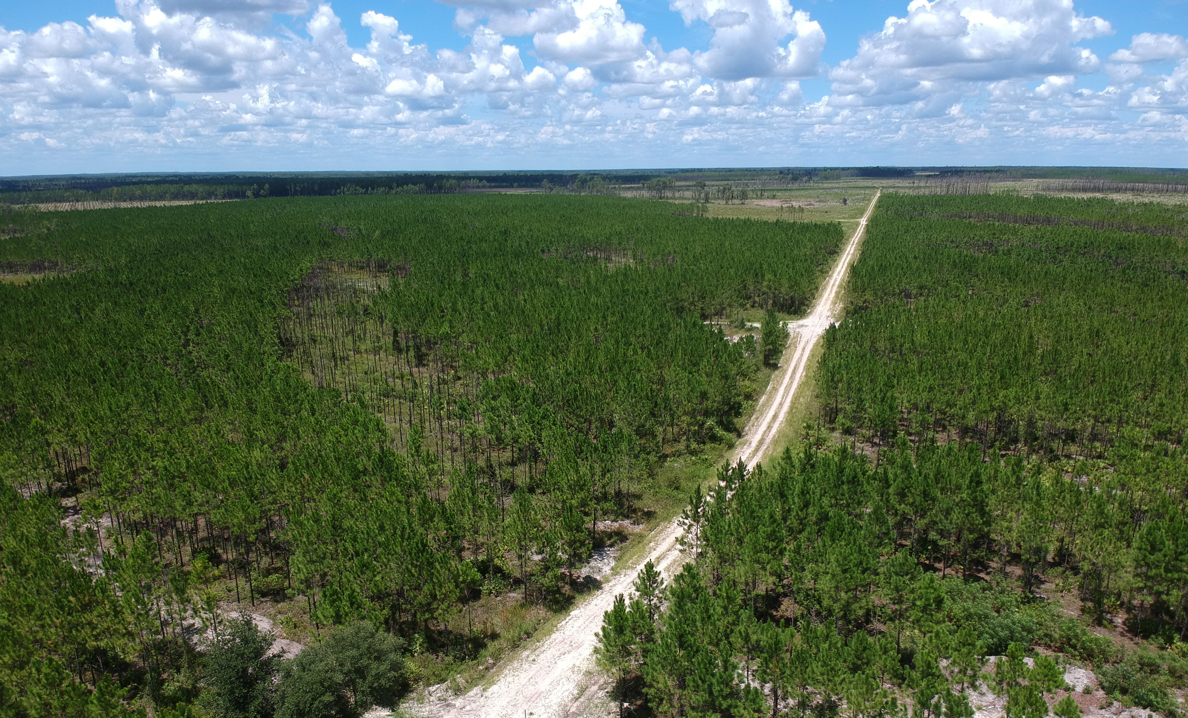 Aerial photography shows a portion of Trail Ridge and also proposed mining site located north of Georgia Highway 94 and southeastern edge of the Okefenokee Swamp (background) in Saint George on Tuesday, Aug. 6, 2019. This drone photography was shot from the corners of Georgia Highway 94 and T-Model (diagonal). The 2,414-acre site is located north of Georgia Highway 94, west of Georgia Highway 23, and east of the Okefenokee National Wildlife Refuge, Saint George, Charlton County, Georgia. In July 2019, a proposal was submitted to the U.S. Army Corp of Engineers by an Alabama-based company, Twin Pines, seeking issuance of a permit to mine for minerals (titanium and zirconium) from Trail Ridge near the southeastern edge of the Okefenokee Swamp. (Hyosub Shin / Hyosub.Shin@ajc.com)