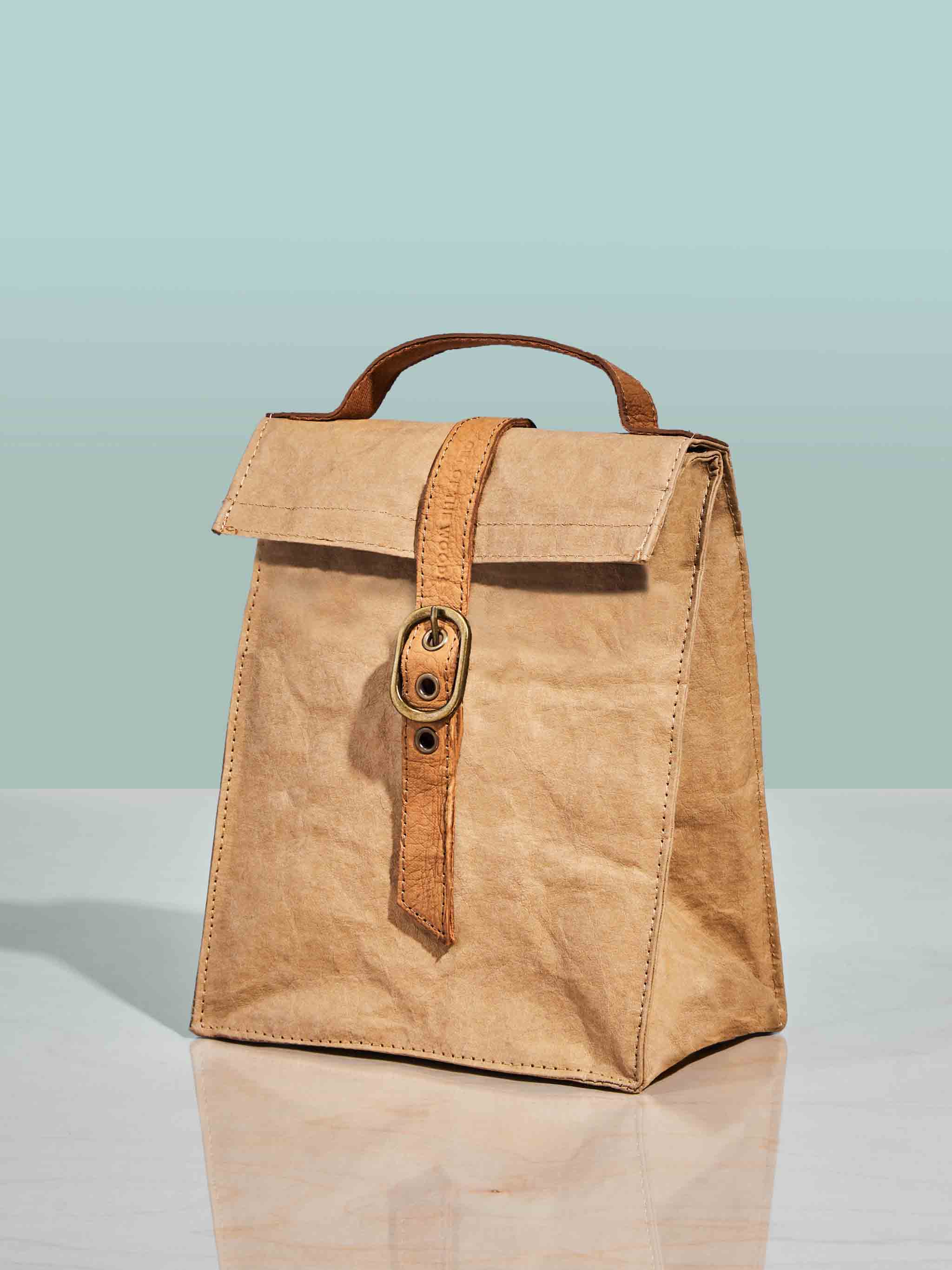 A contemporary take on a brown bag gives this washable, insulated version.  (Courtesy of Out of the Woods)