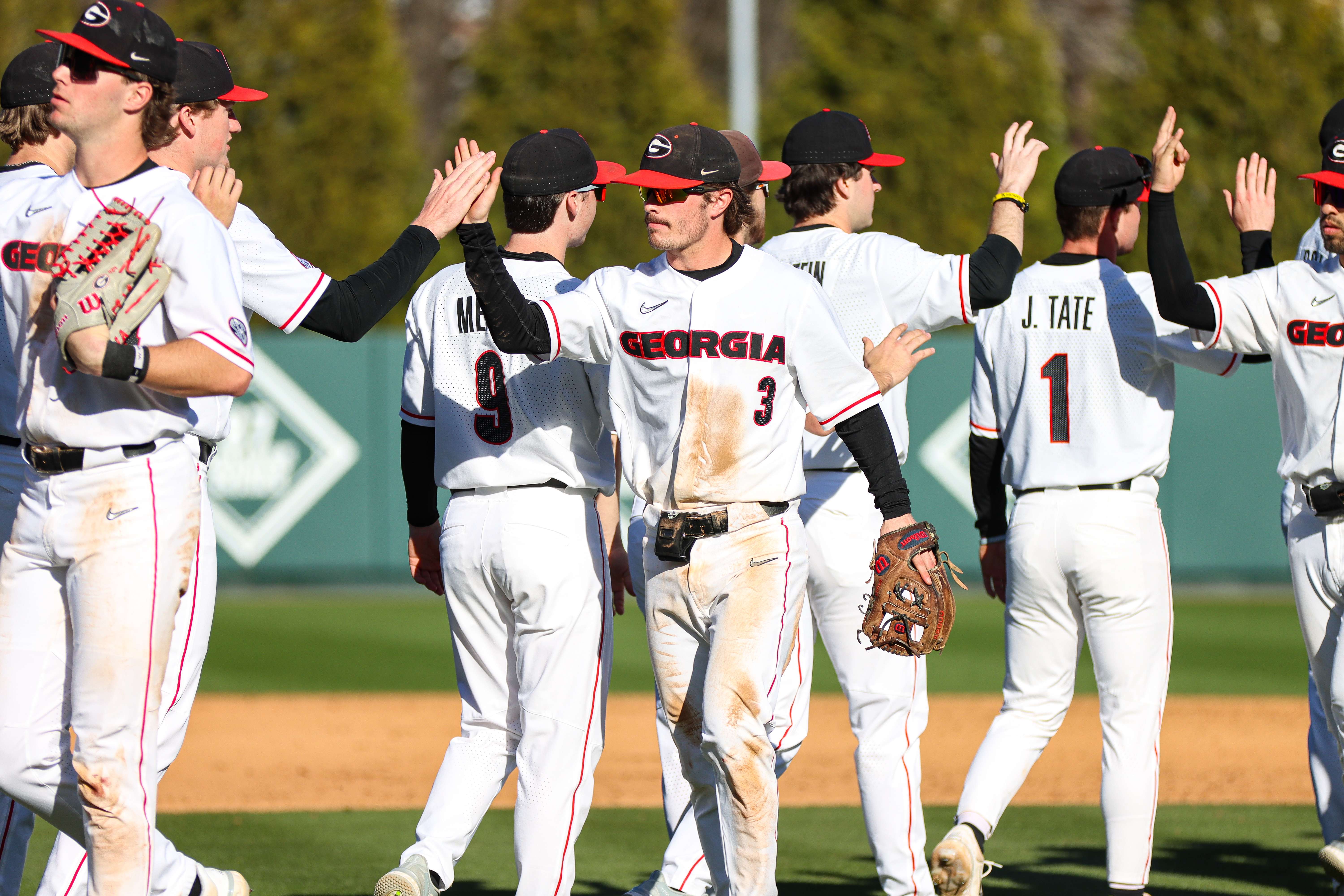 Georgia Baseball: Bulldog season preview