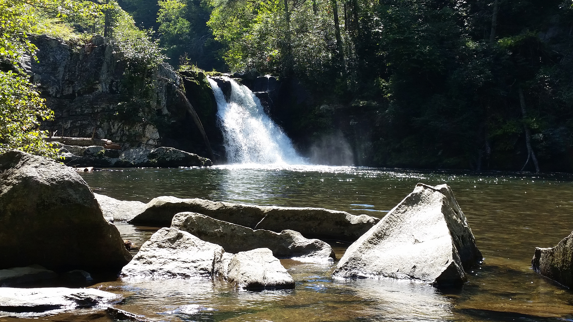 A Walk in the Woods guides custom hikes to Abrams Falls in Cades Cove, one of the most revered hiking destinations in the Great Smoky Mountains.
Courtesy of Joel Ossoff