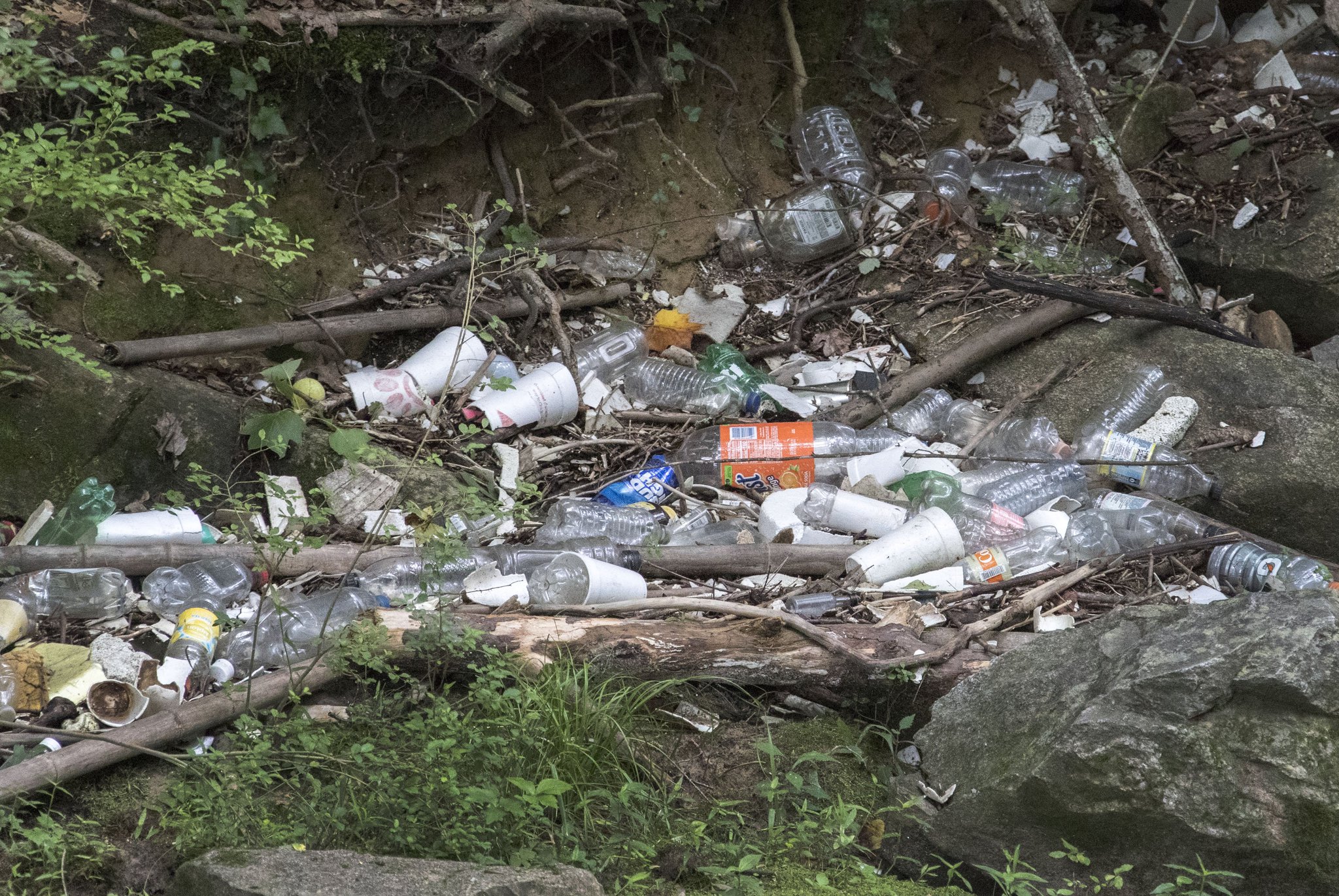 Plastic pollution is a global concern, but there are examples right here in Georgia. Here, trash and plastic pollution cover the banks of the tributary of Proctor Creek in Atlanta. Georgians throw away 1 million tons of plastic each year. Only 9% of total plastic waste in the U.S. gets recycled. BOB ANDRES / BANDRES@AJC.COM