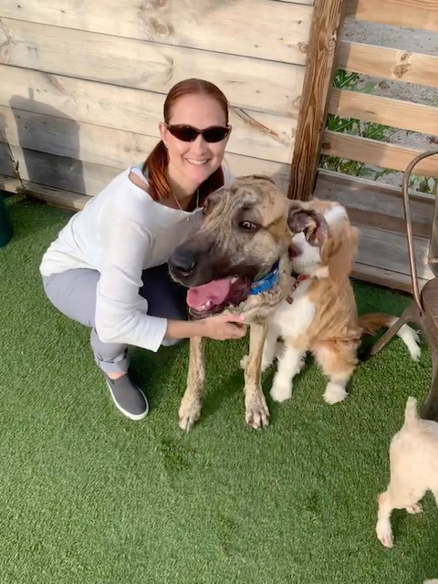 Atlanta Homicide Detective Summer Benton pets her Labradoodle, Willa, and Willa's much larger pal at Fetch Park.  (Courtesy of Summer Benton.)