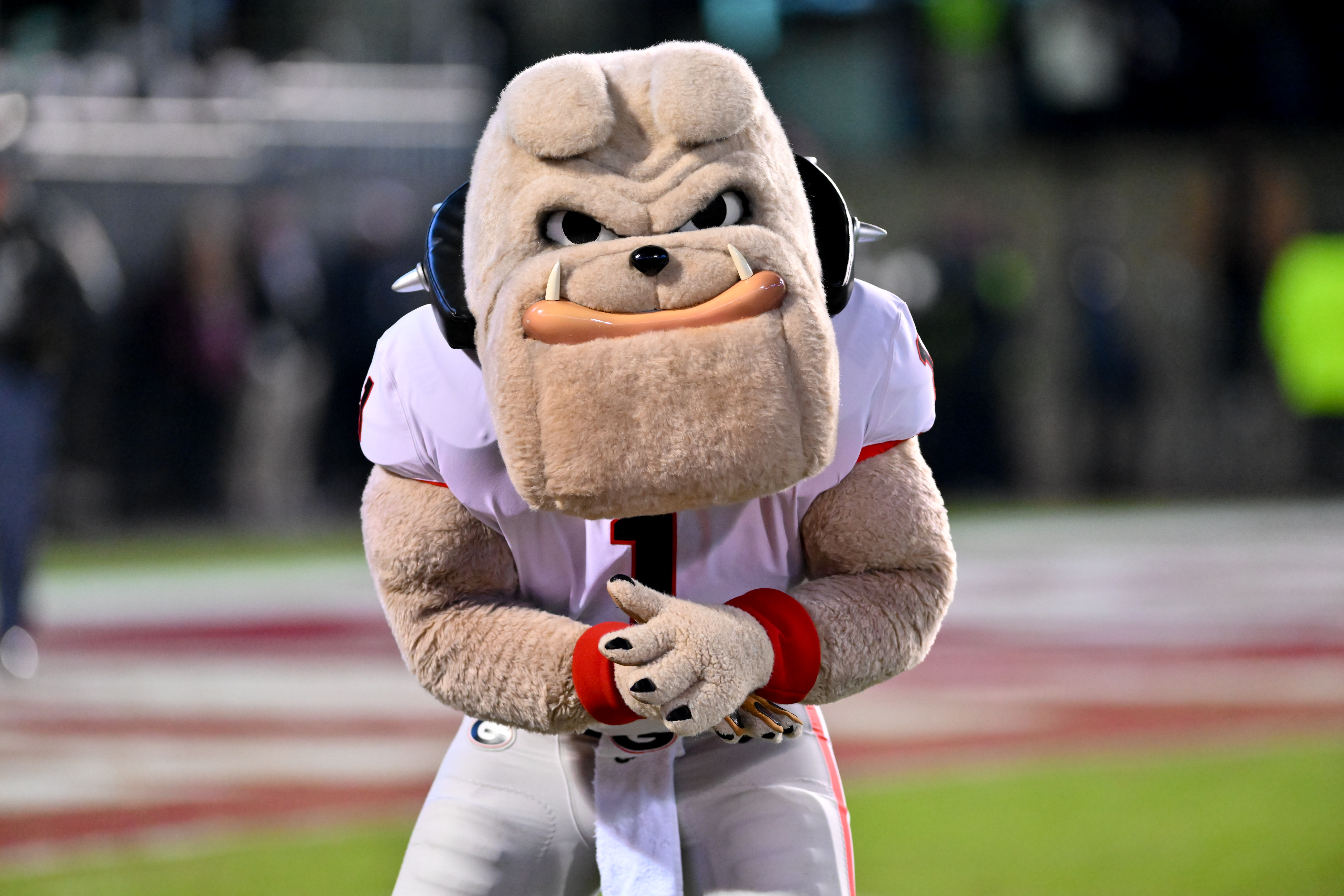 Atlanta Braves' Blooper Making a Trip to Athens to watch Georgia Football -  Sports Illustrated Georgia Bulldogs News, Analysis and More