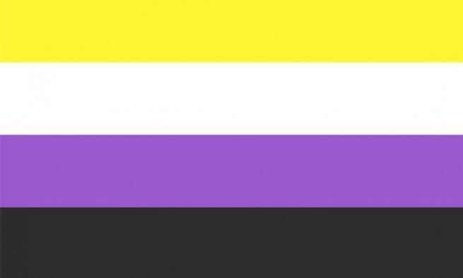 whats the gay pride flag colors