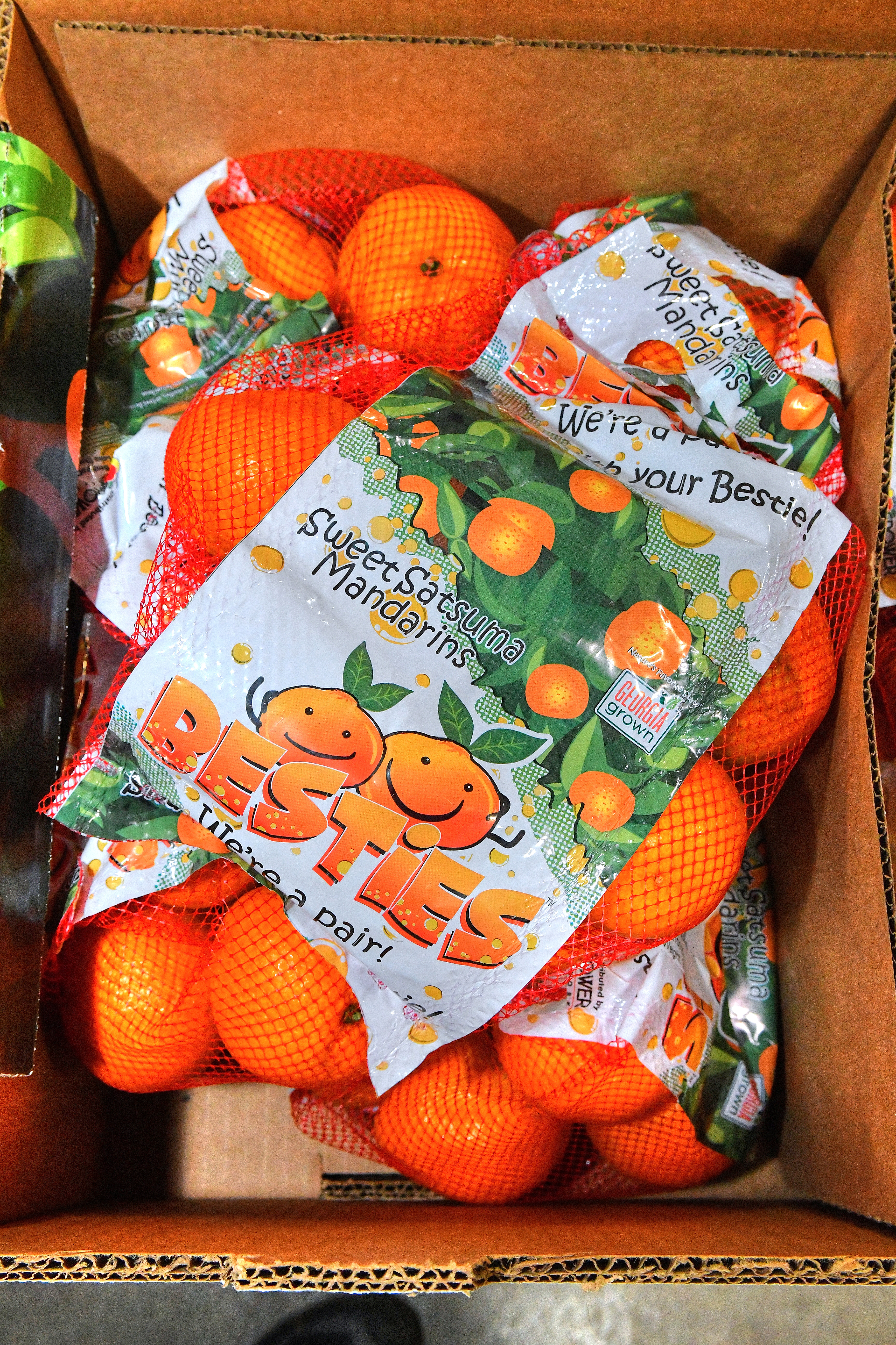 Sumo Citrus to Harvest Its Largest Crop - Citrus Industry Magazine