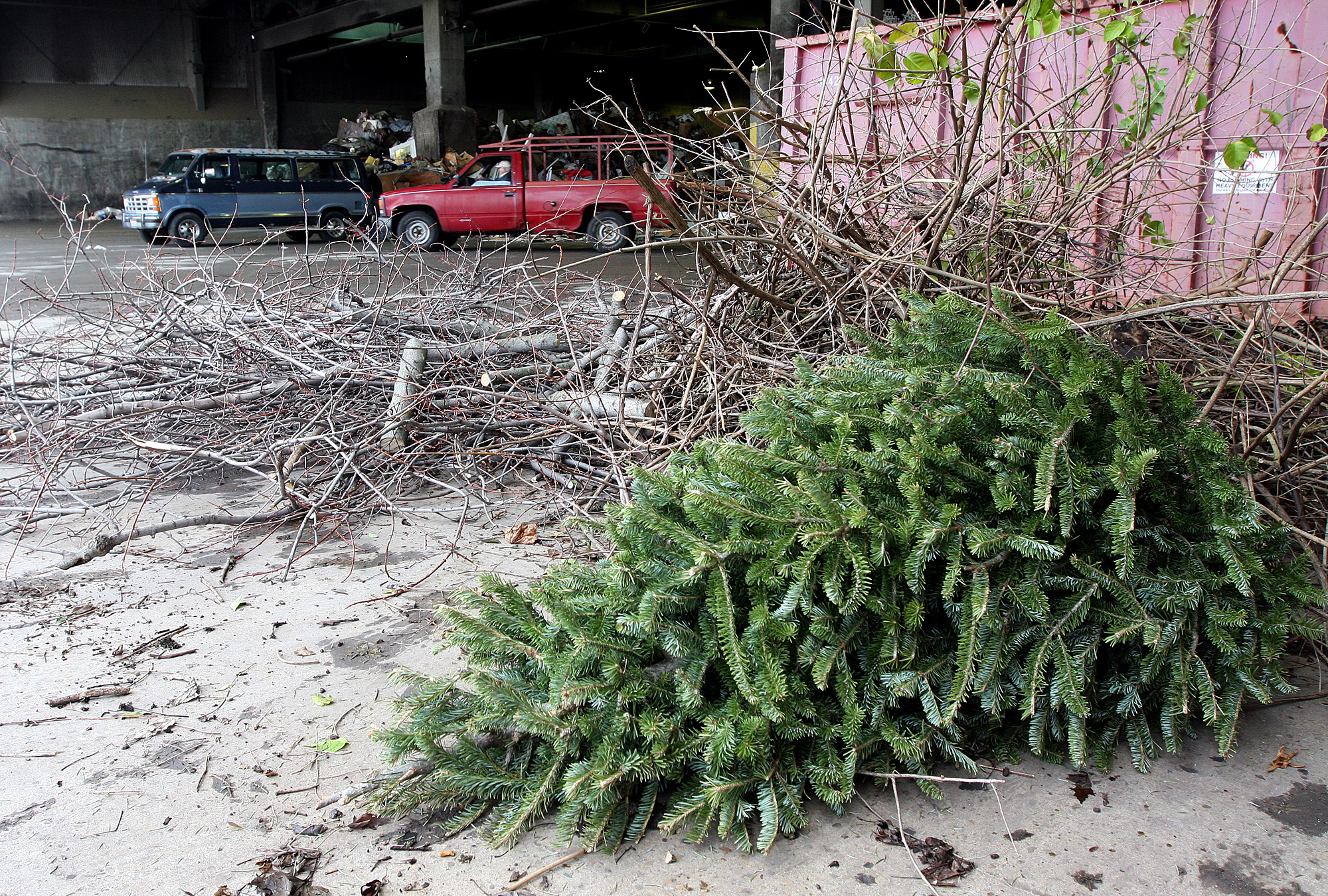 Volunteer Gwinnett Christmas 2022 Gwinnett Christmas Tree Recycling Event Rescheduled For Jan. 28