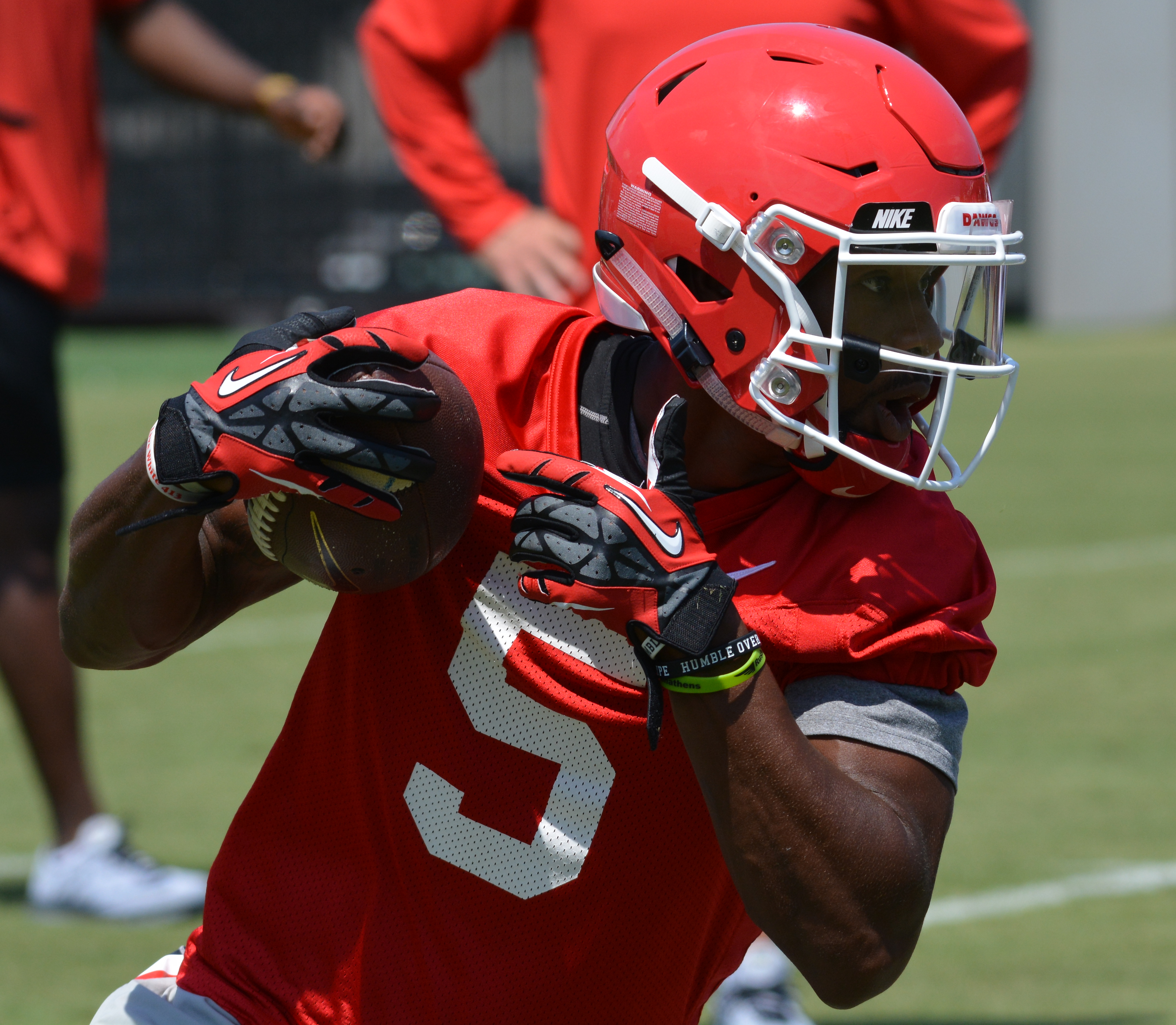 Nick Chubb, Greg Pyke Named Preseason First-Team All-SEC - Dawg Sports