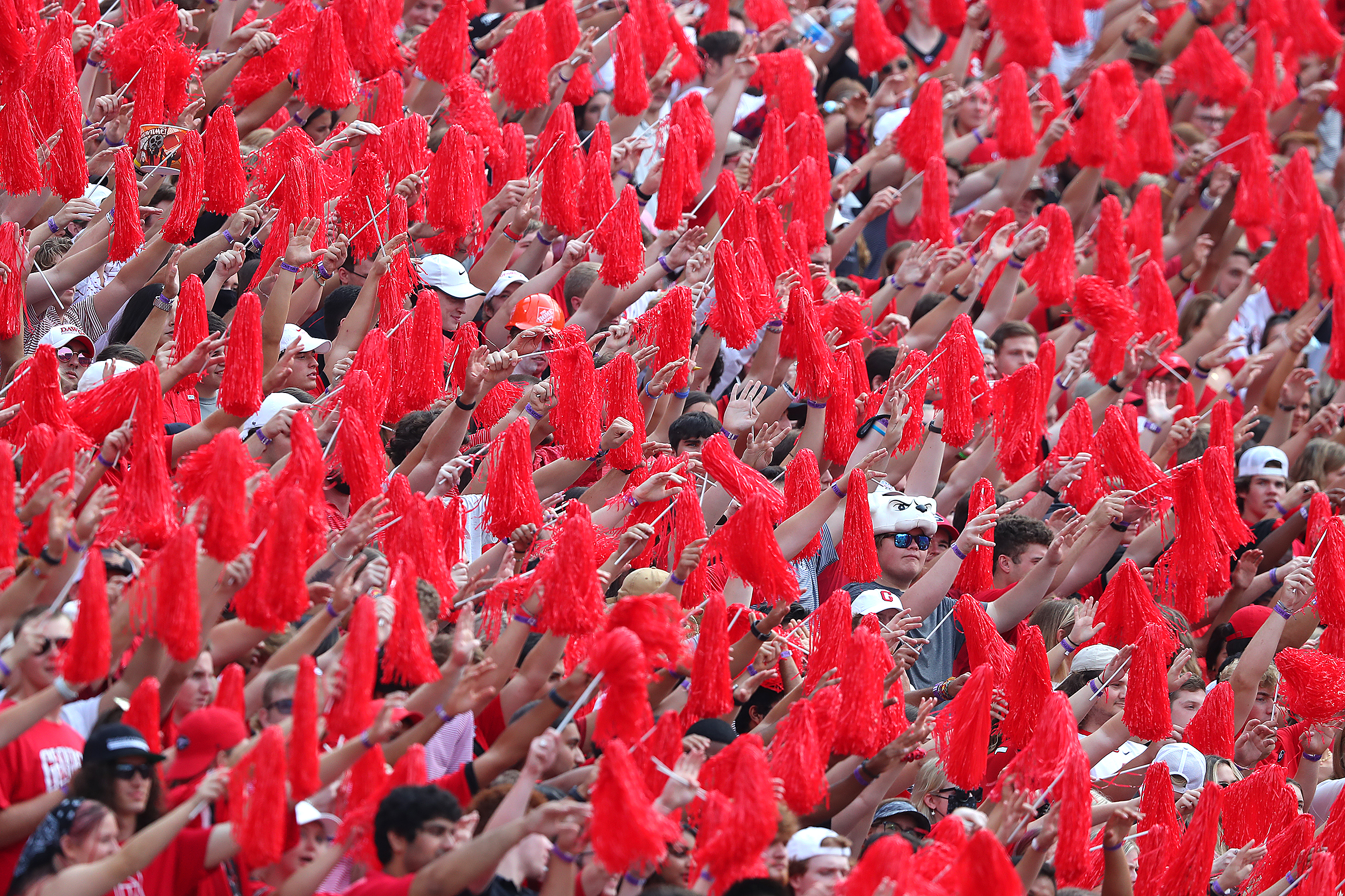 Georgia fans fill the stadium for a top-10 showdown with Arkansas Saturday, Oct. 2, 2021, in Athens. (Curtis Compton / Curtis.Compton@ajc.com)