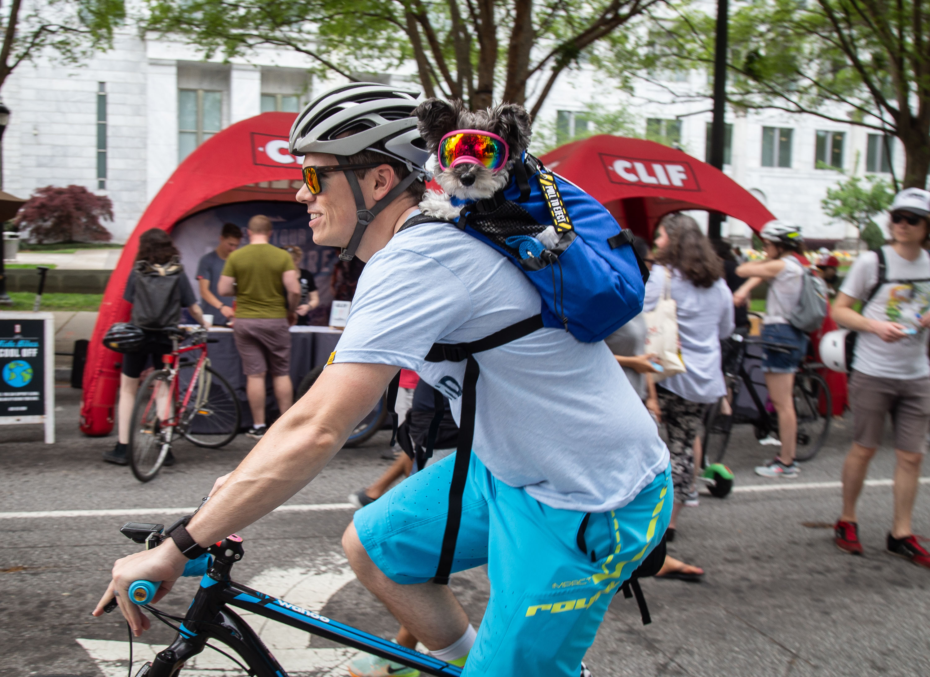 Todd Steigerwalt and his dog Pippa head down Peachtree Street during the Atlanta Streets Alive ride on Sunday, April 7, 2019. The Atlanta Bicycle Coalition activated 3.1 miles of Peachtree Street for the Sunday afternoon ride. STEVE SCHAEFER / SPECIAL TO THE AJC