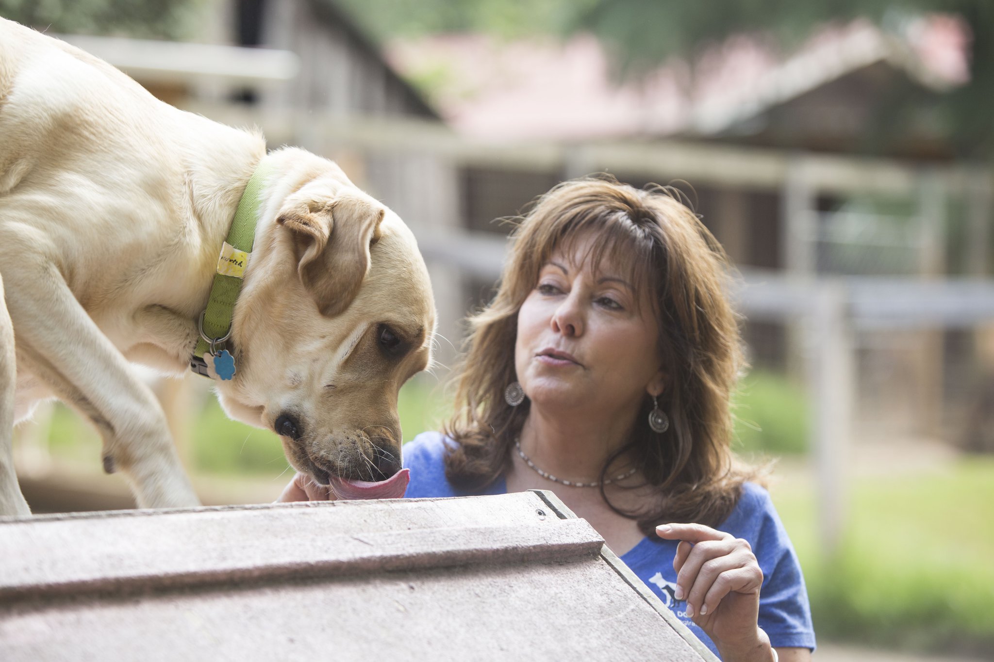 can a service dog wear a muzzle