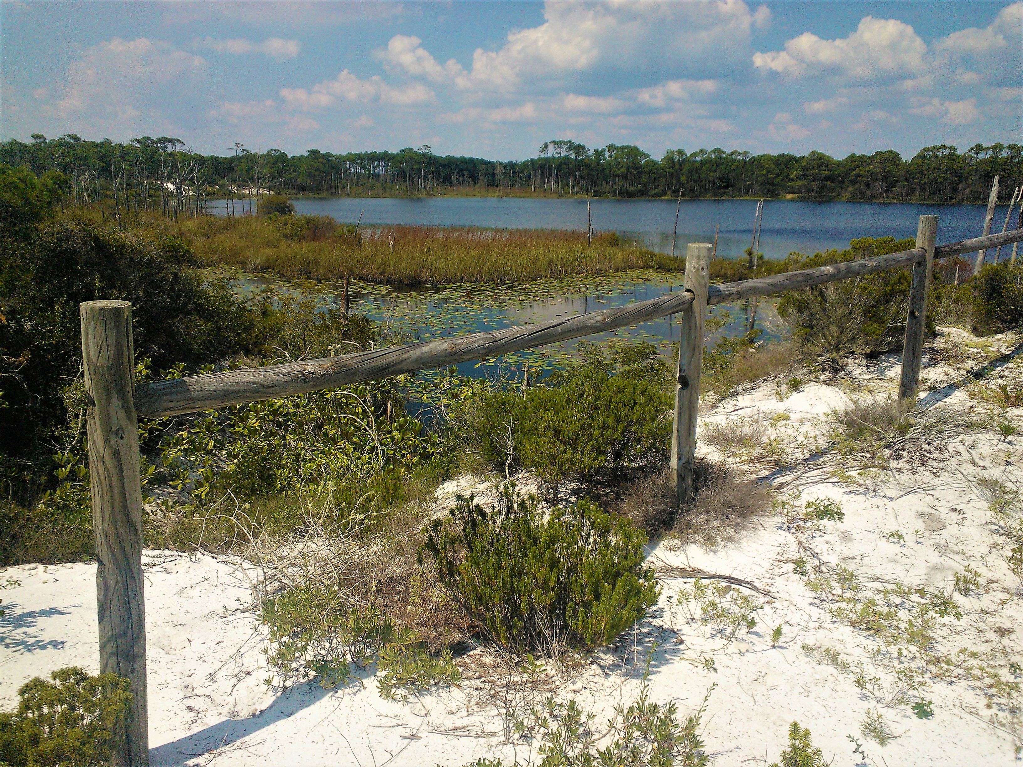 Morris Lake Trail in Topsail Hill Preserve State Park in South Walton, Florida.
Contributed by Blake Guthrie