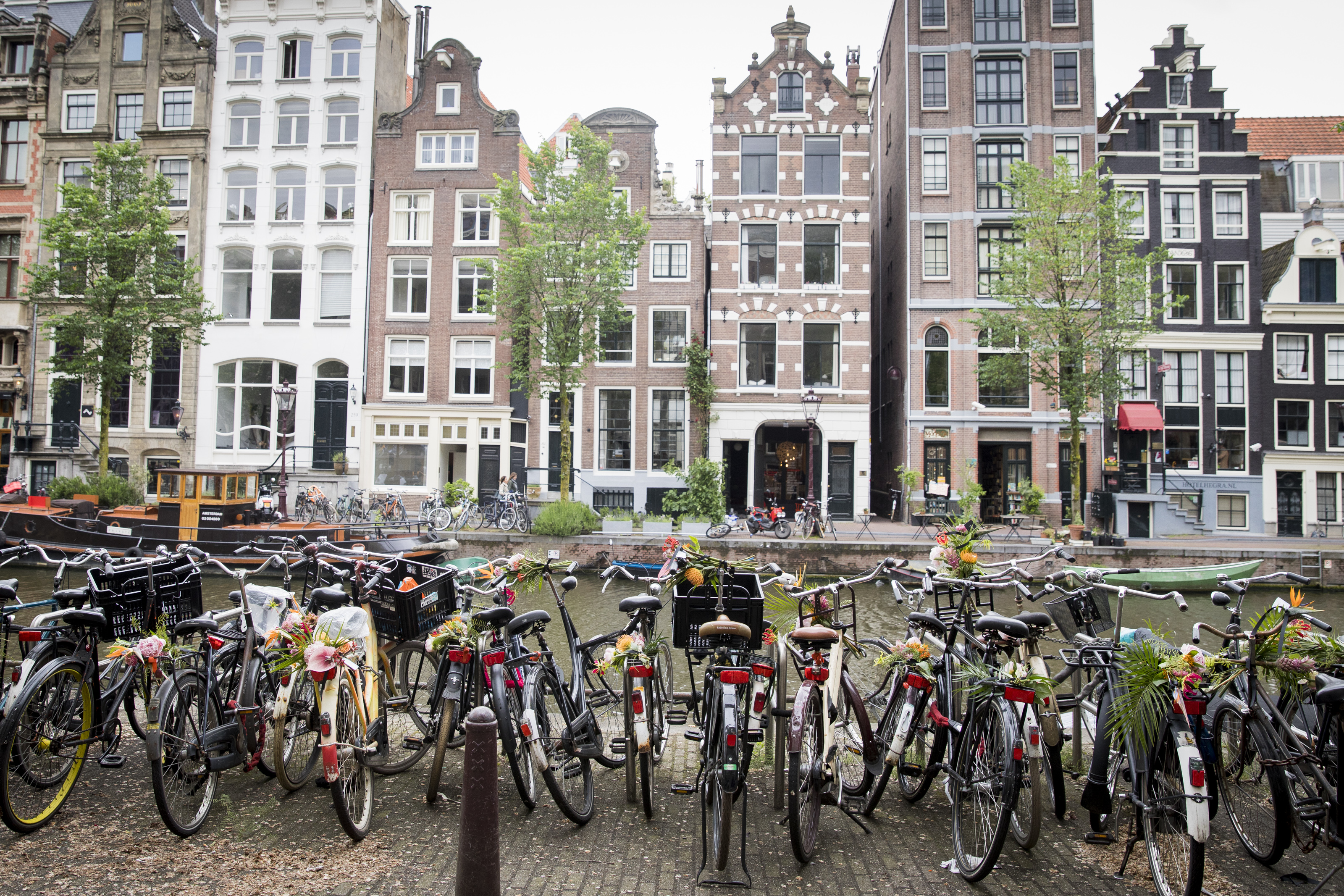 Floral vandals take to the streets of Amsterdam to mark the opening of botanically inspired Kimpton De Witt hotel on June 8, 2017 in Amsterdam, Netherlands. (Photo by Tristan Fewings/Getty Images for Kimpton De Witt hotel)