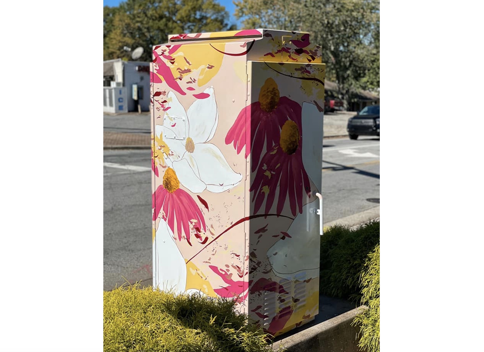 Canton Utility Box - Roswell Arts Fund