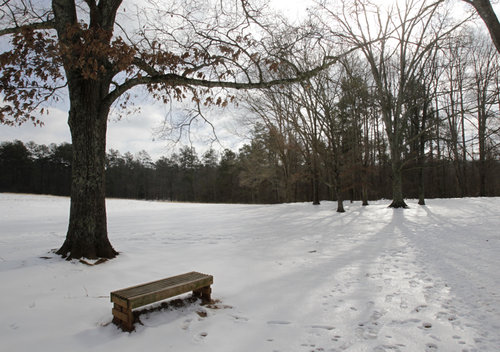 Kennesaw Battlefield Park was a blanket of white on Jan. 12, 2011. This park was accessible, but Kennesaw Mountain park remained closed.