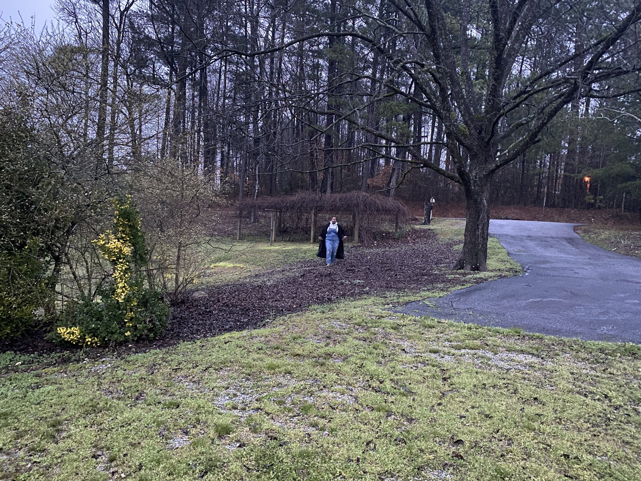 farmer spreads message that food is medicine