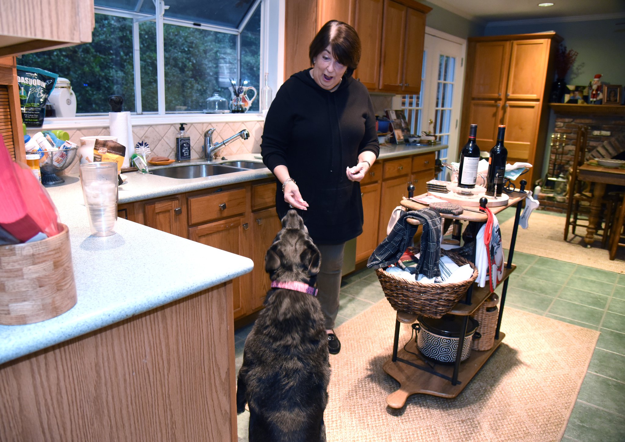 sandy creek dog sanctuary