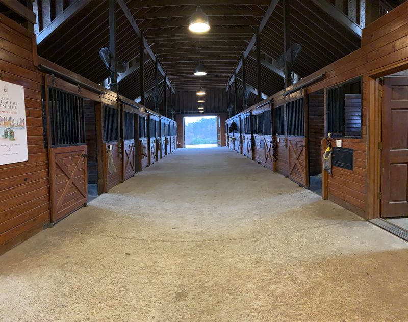 Dwayne Johnson’s Powder Springs property on market for 7.5M