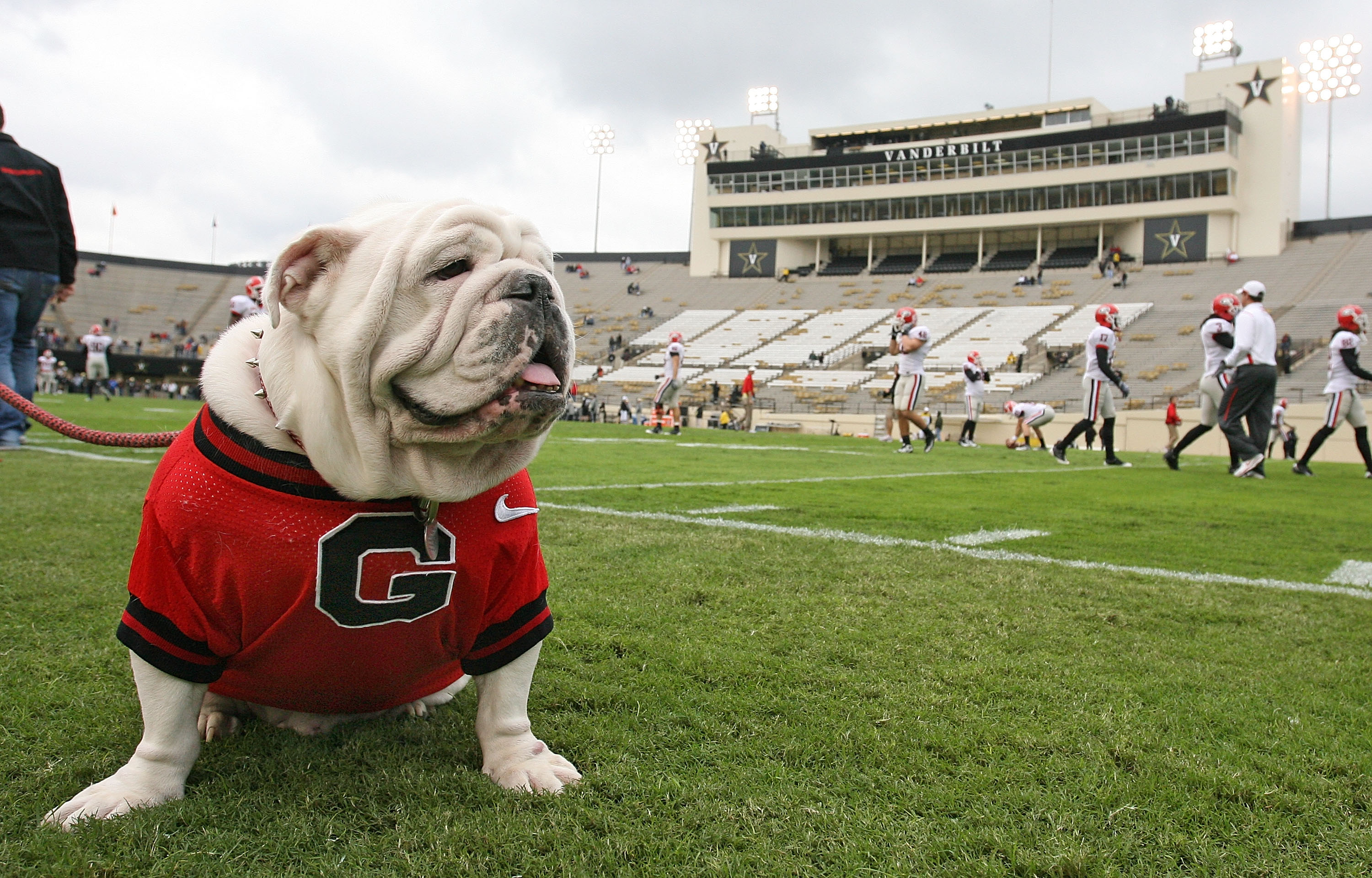 UGA's Jennings Gives Thanks and Turkeys - University of Georgia