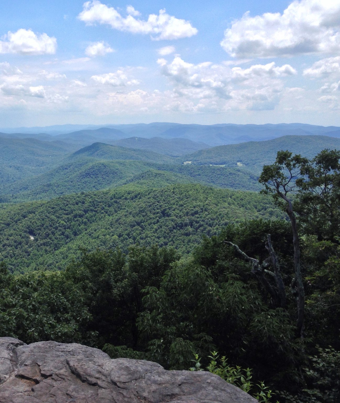 Georgia's hiking trails offer natural escape