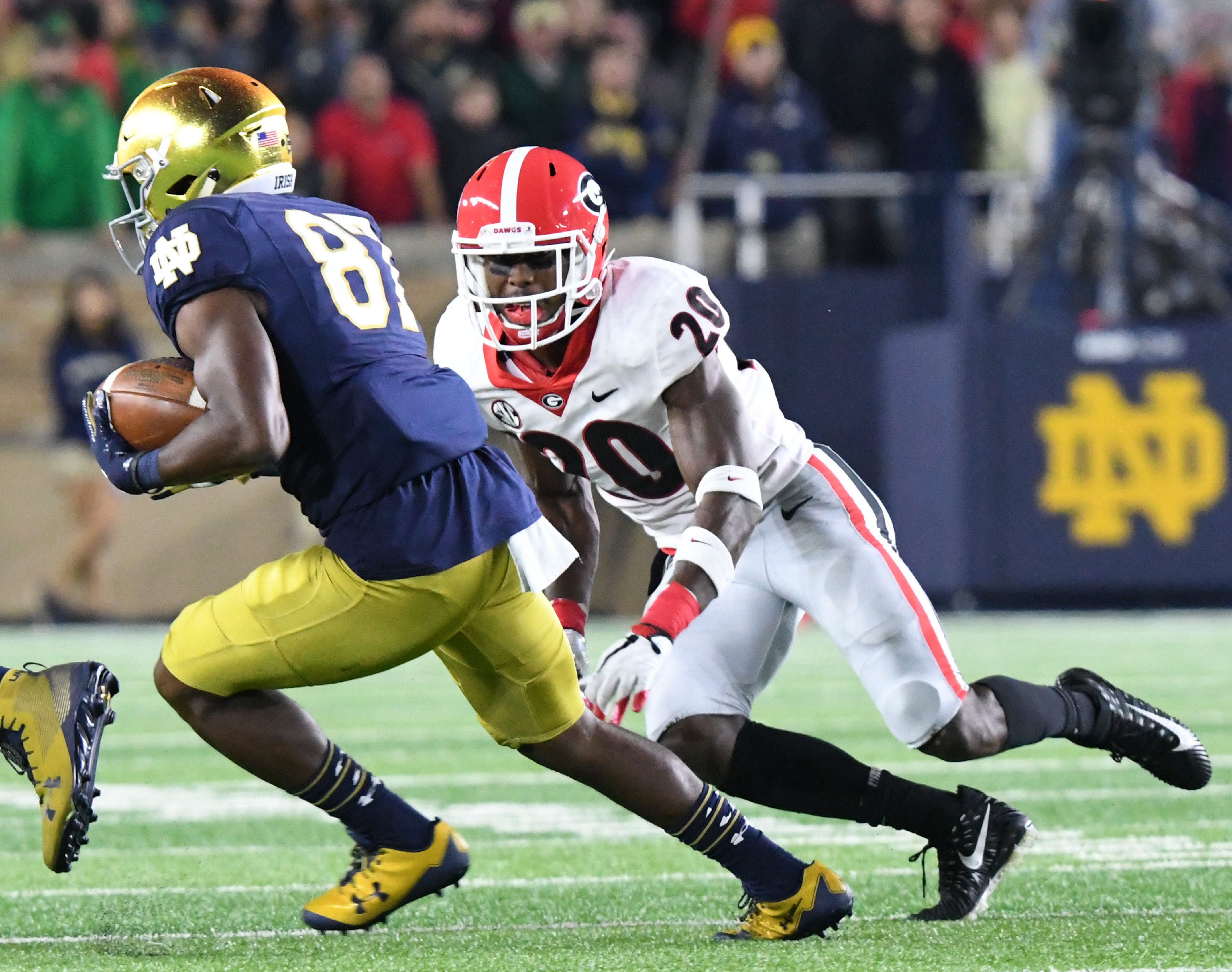 Vivid Seats - Notre Dame Football vs. Georgia Bulldogs.