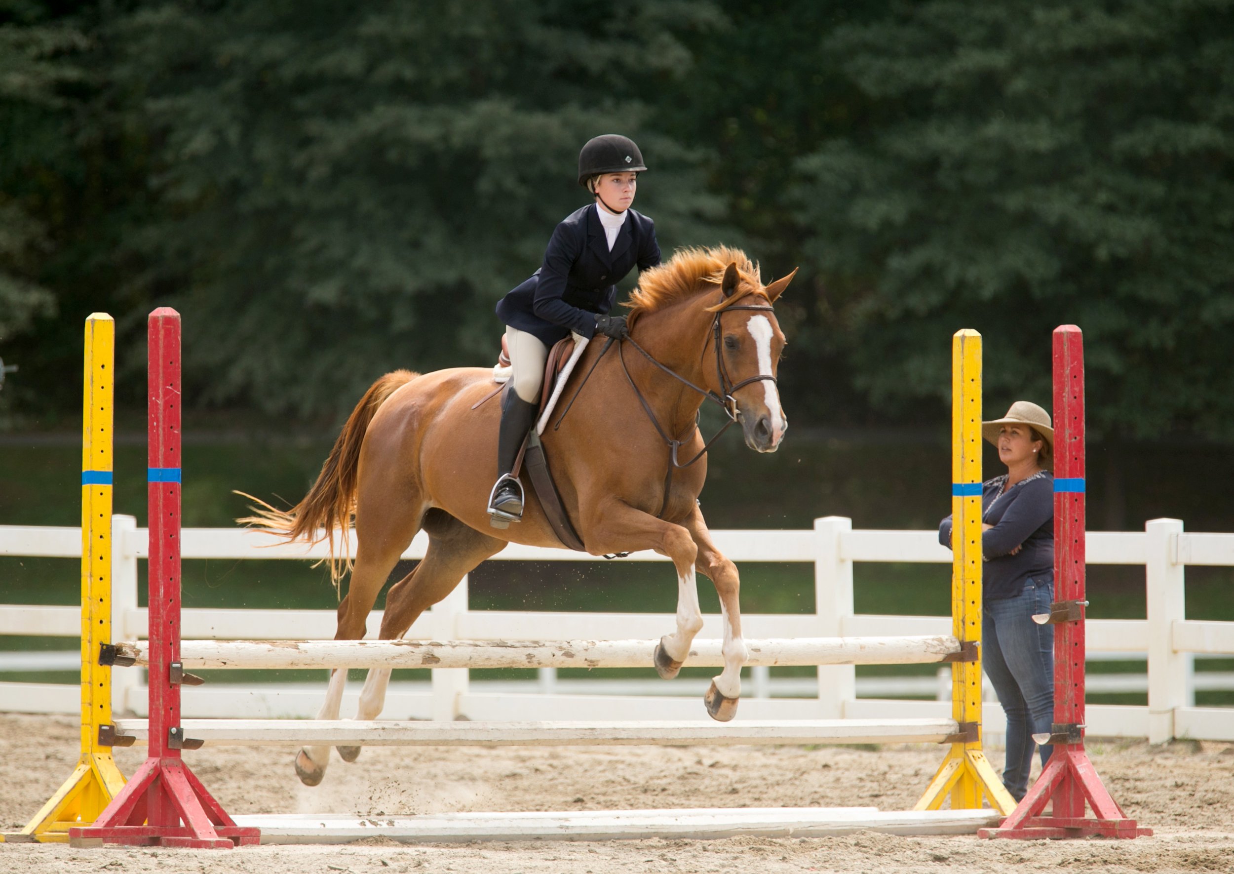 IN THEIR WORDS – Wills Park Equestrian Foundation