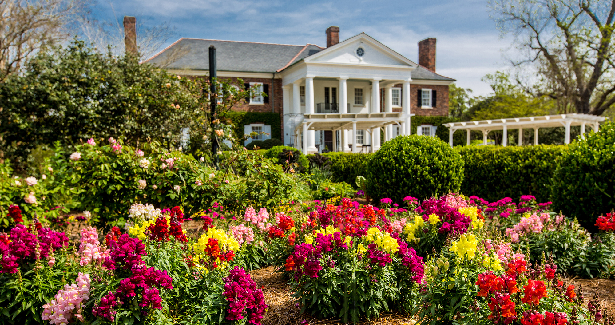 Boone Hall Plantation and Gardens in Mt. Pleasant, South Carolina.
Courtesy of Boone Hall Plantation and Gardens