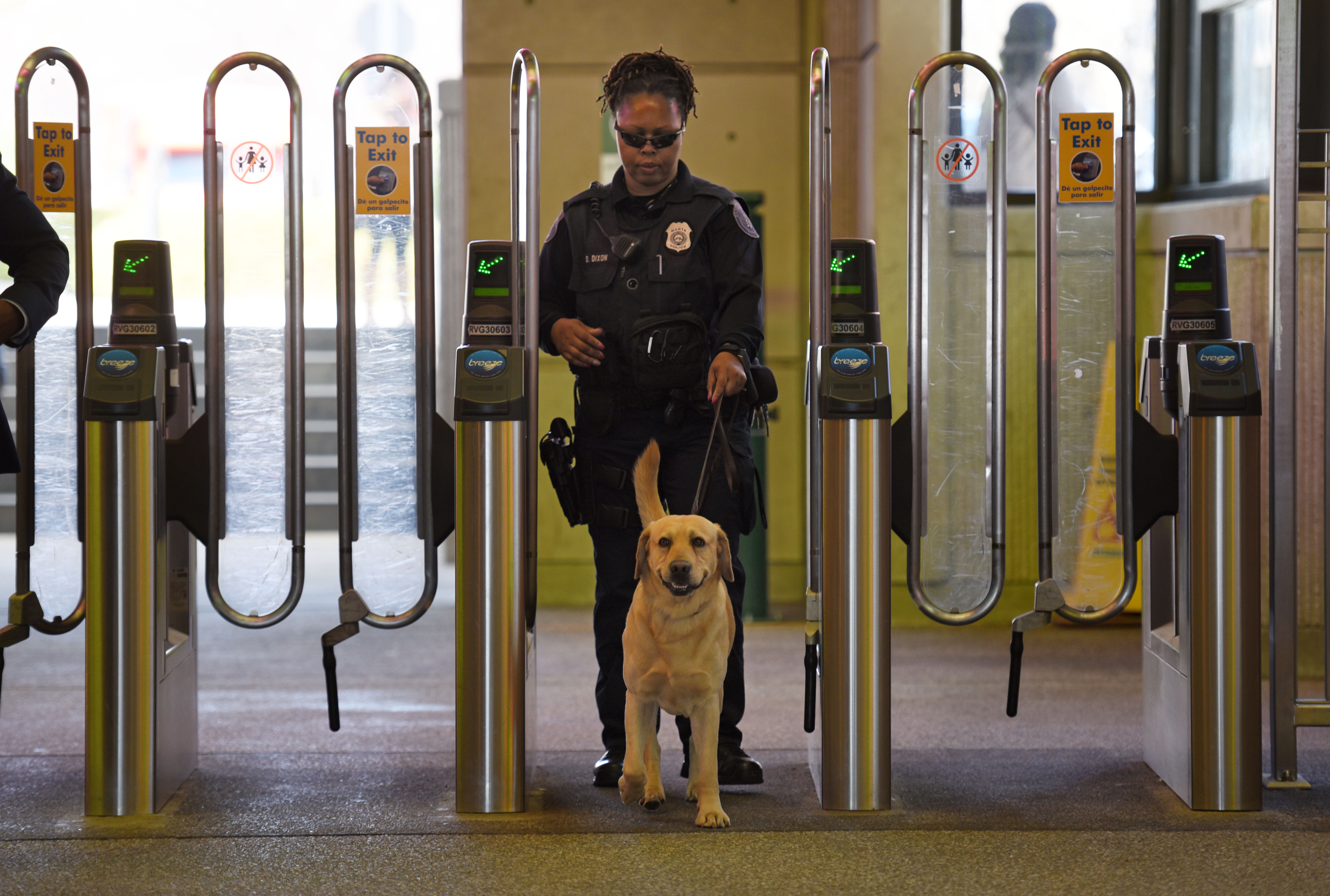 are dogs allowed on trains in us