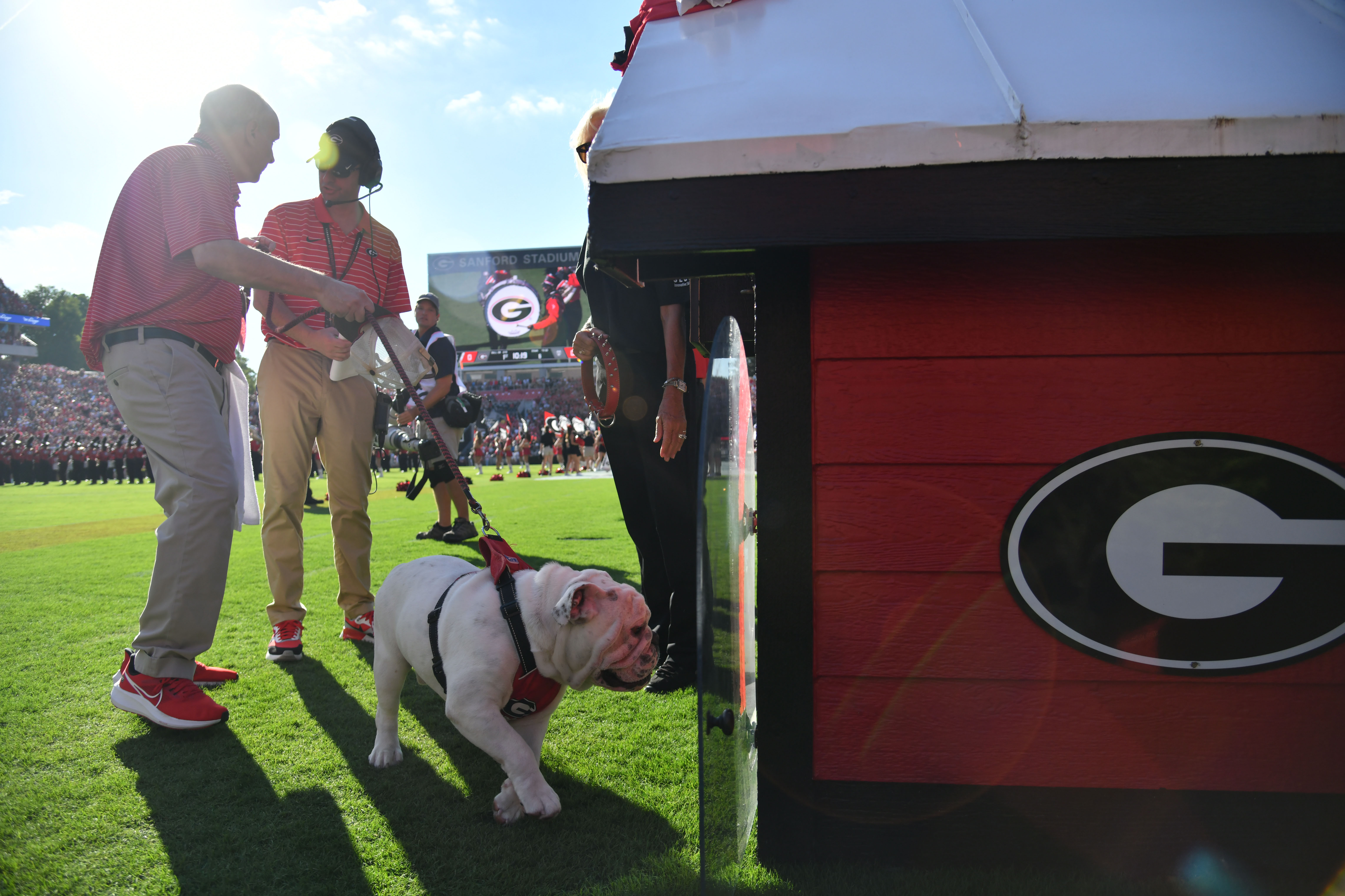 Georgia mascot Uga won't make trip to Los Angeles for national