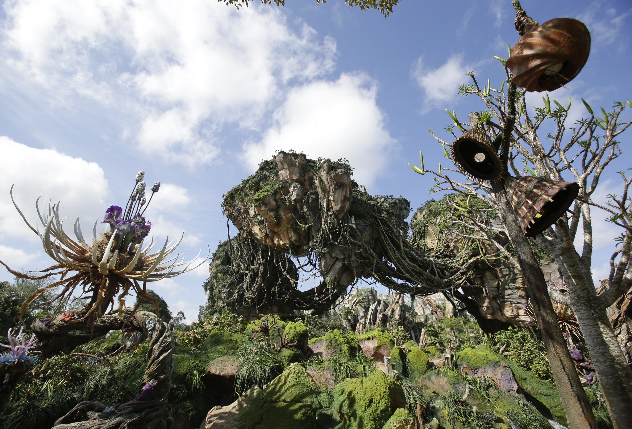 360º Ride on DINOSAUR at Disney's Animal Kingdom 