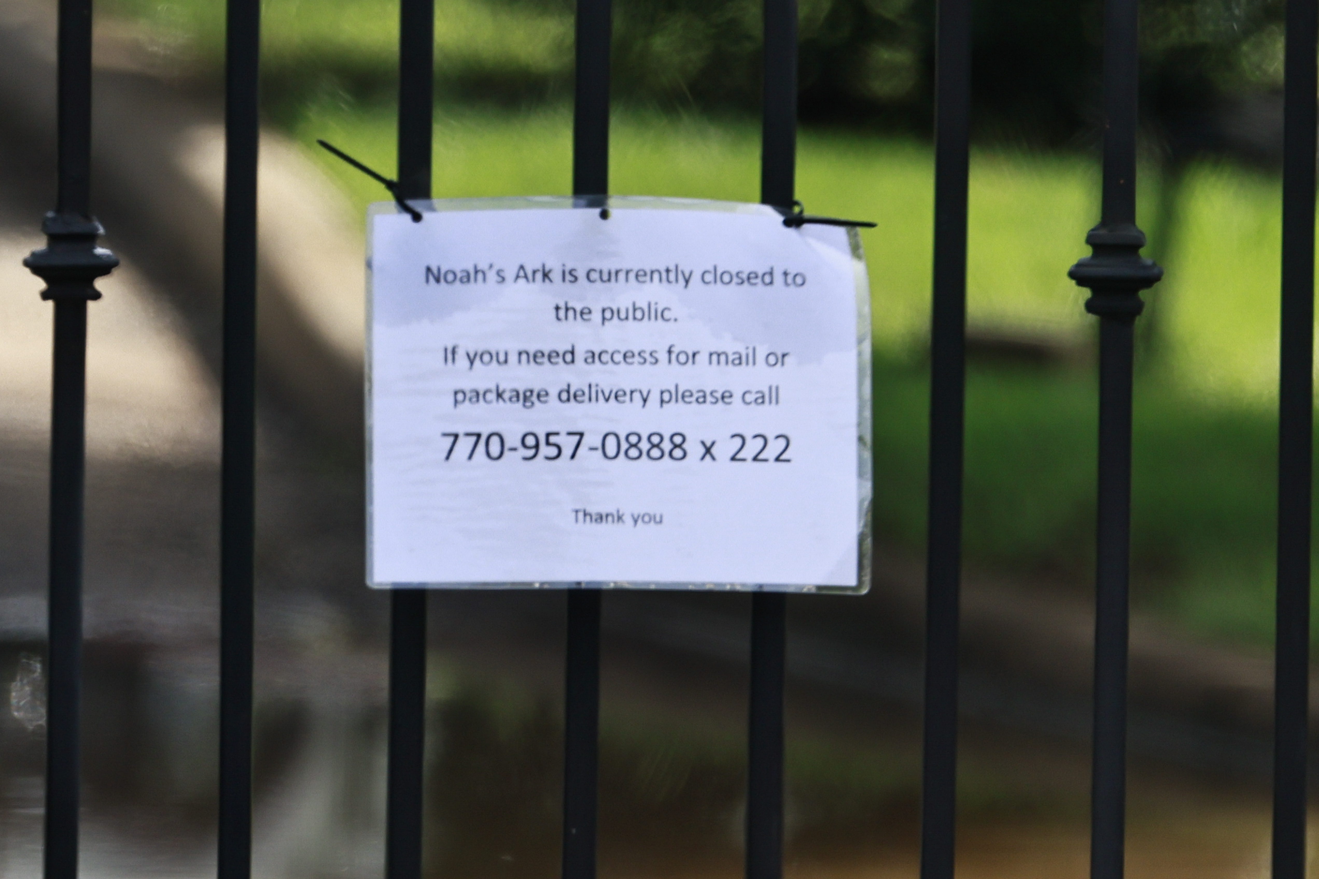On Monday, August 22, 2022, the gates of Noah's Ark Animal Sanctuary in Locust Gardens will be closed to the public.  (Natrice Miller/natrice.miller@ajc.com)