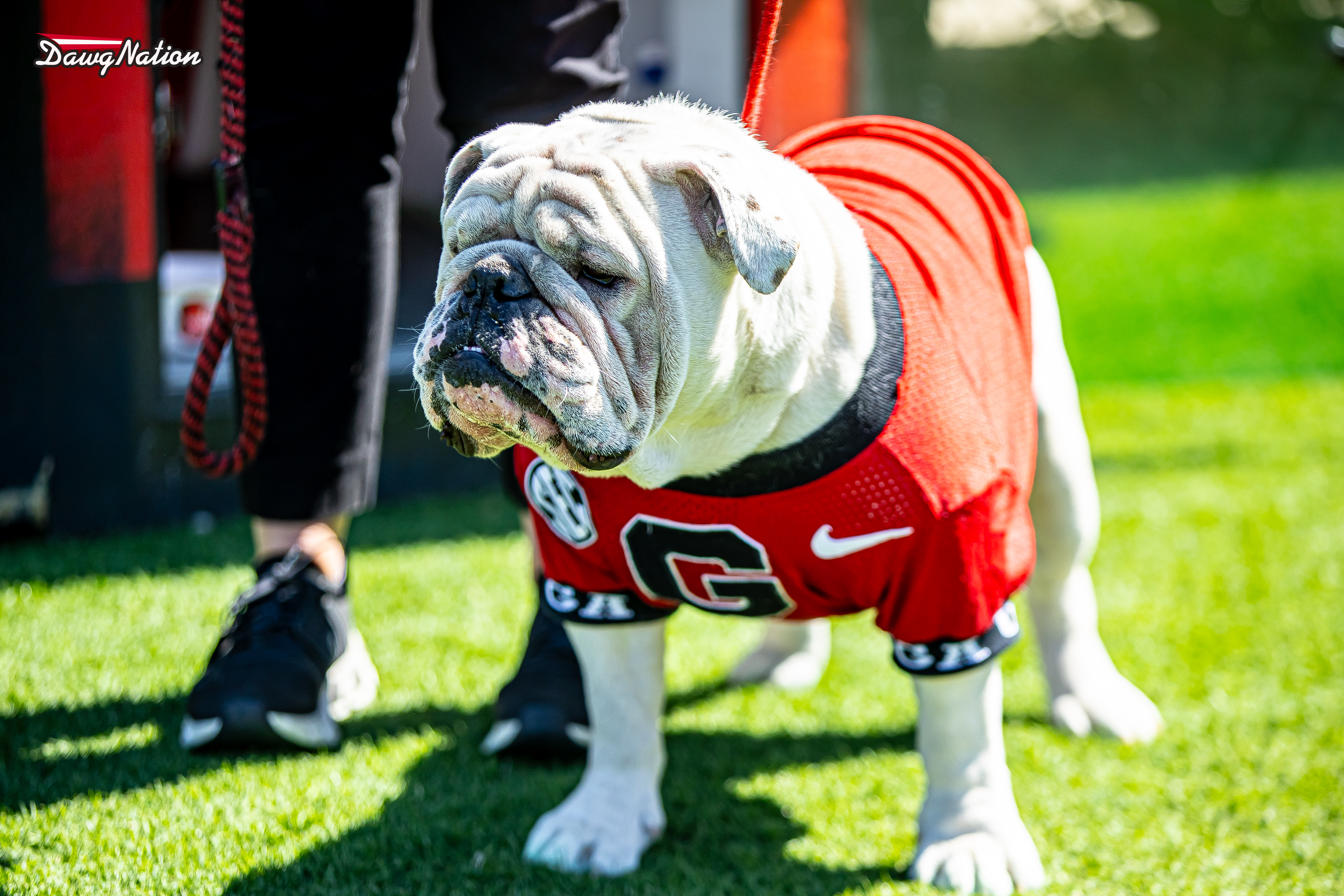 Georgia announces shake up to football radio booth