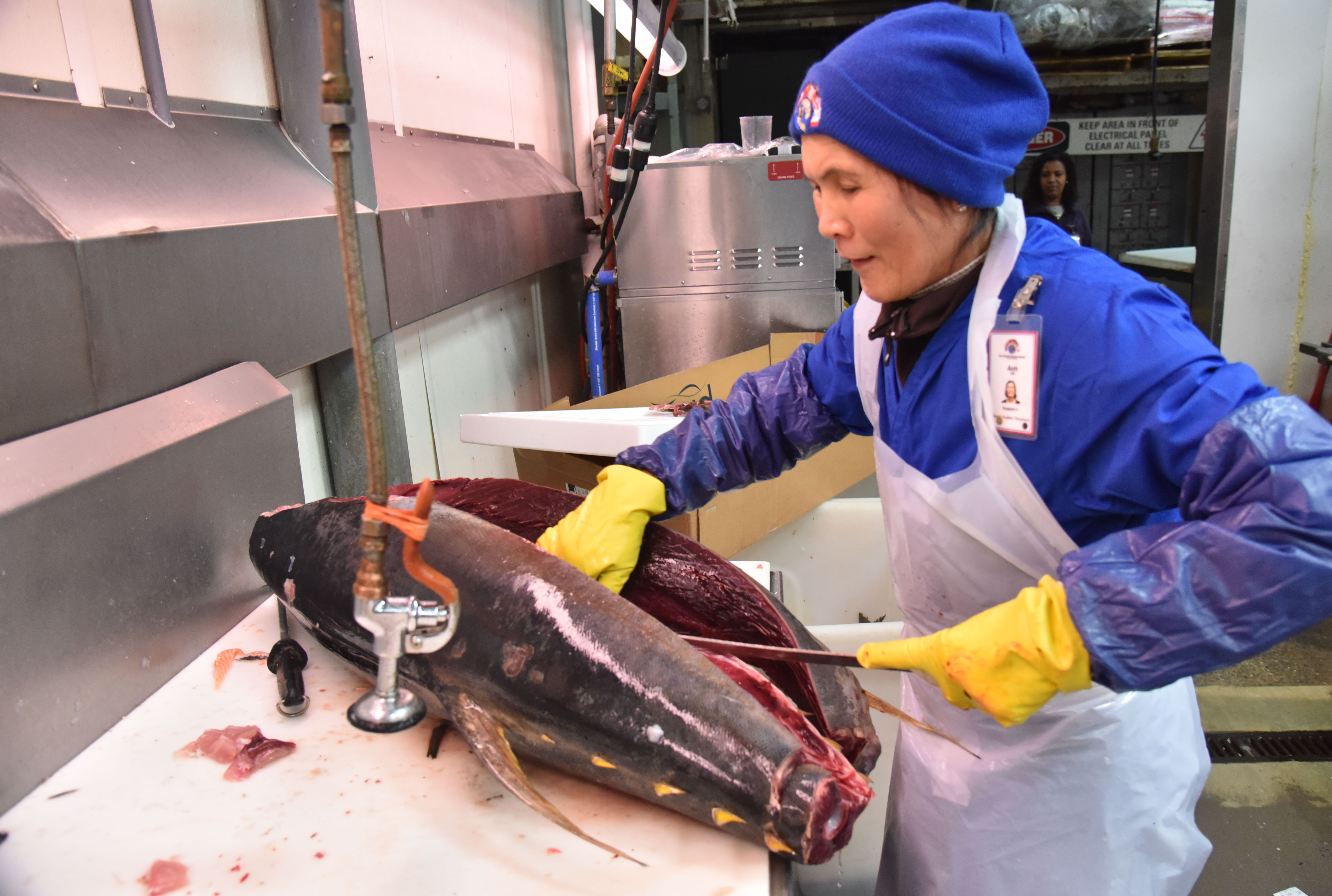 Anh Vo cuts tuna.