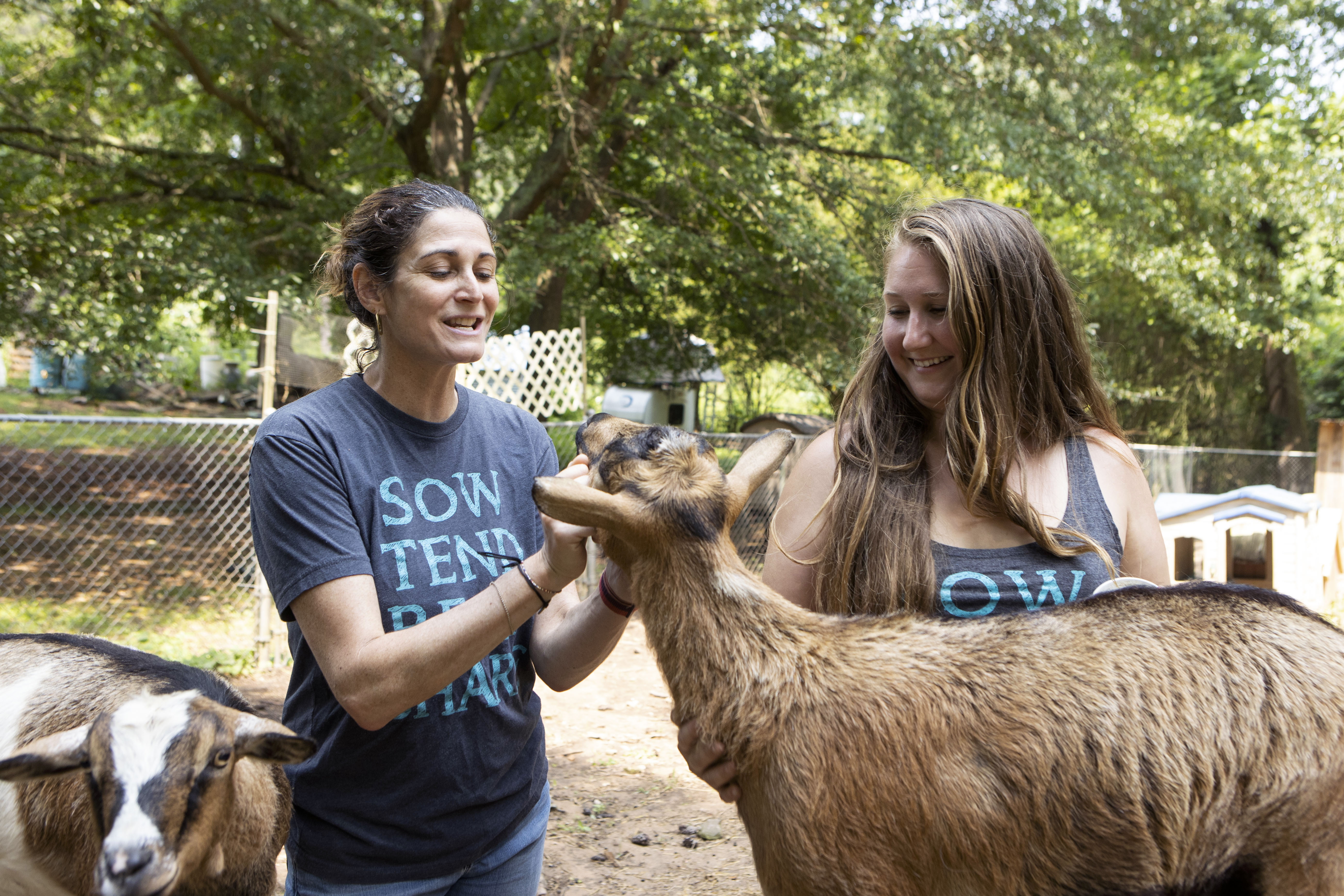 Volunteers in metro Atlanta rally to save Lupin, the community garden goat