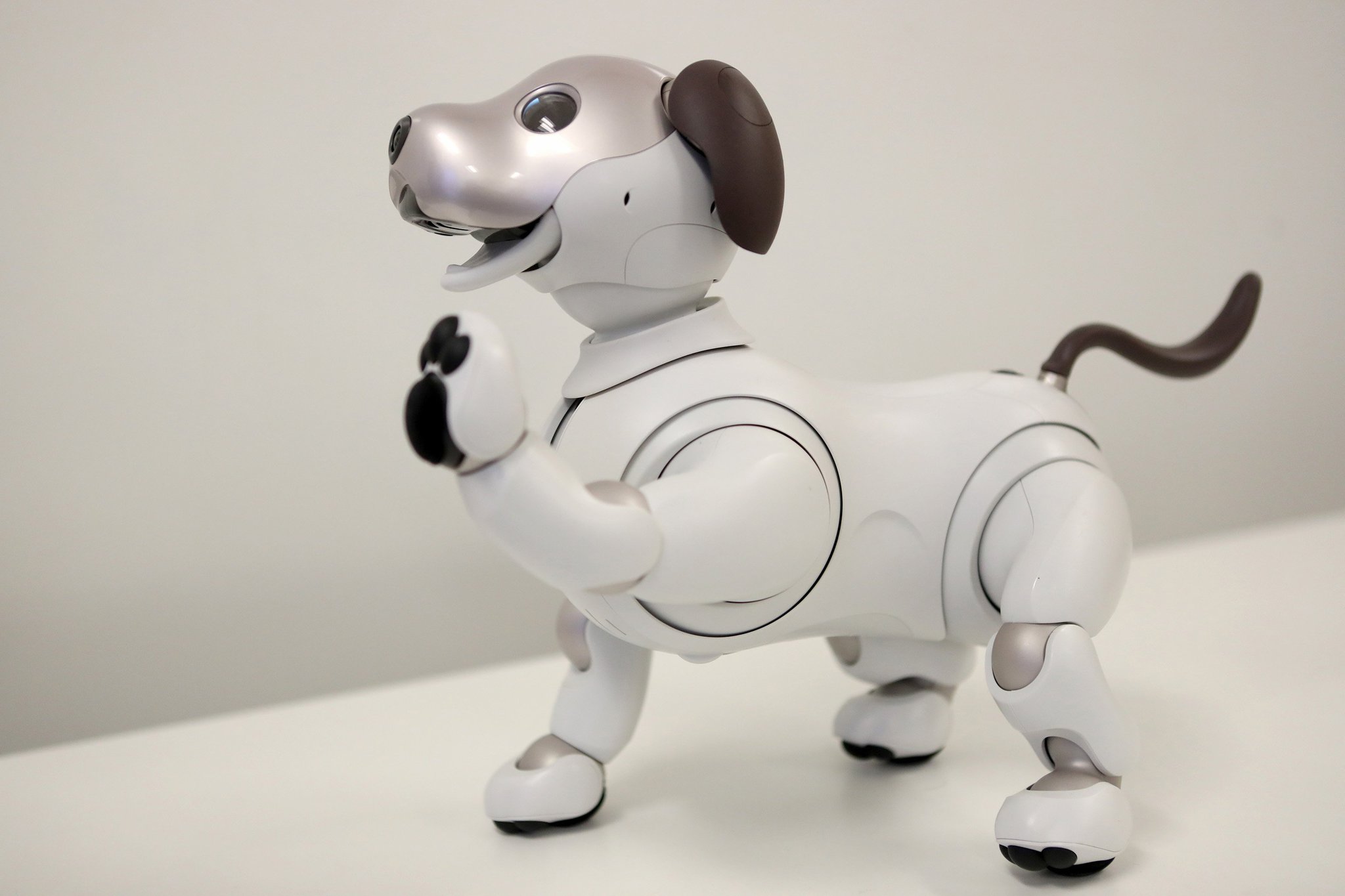 ubehageligt Danser Kostbar Sony's aibo robotic dog can sit, fetch and learn what its owner likes