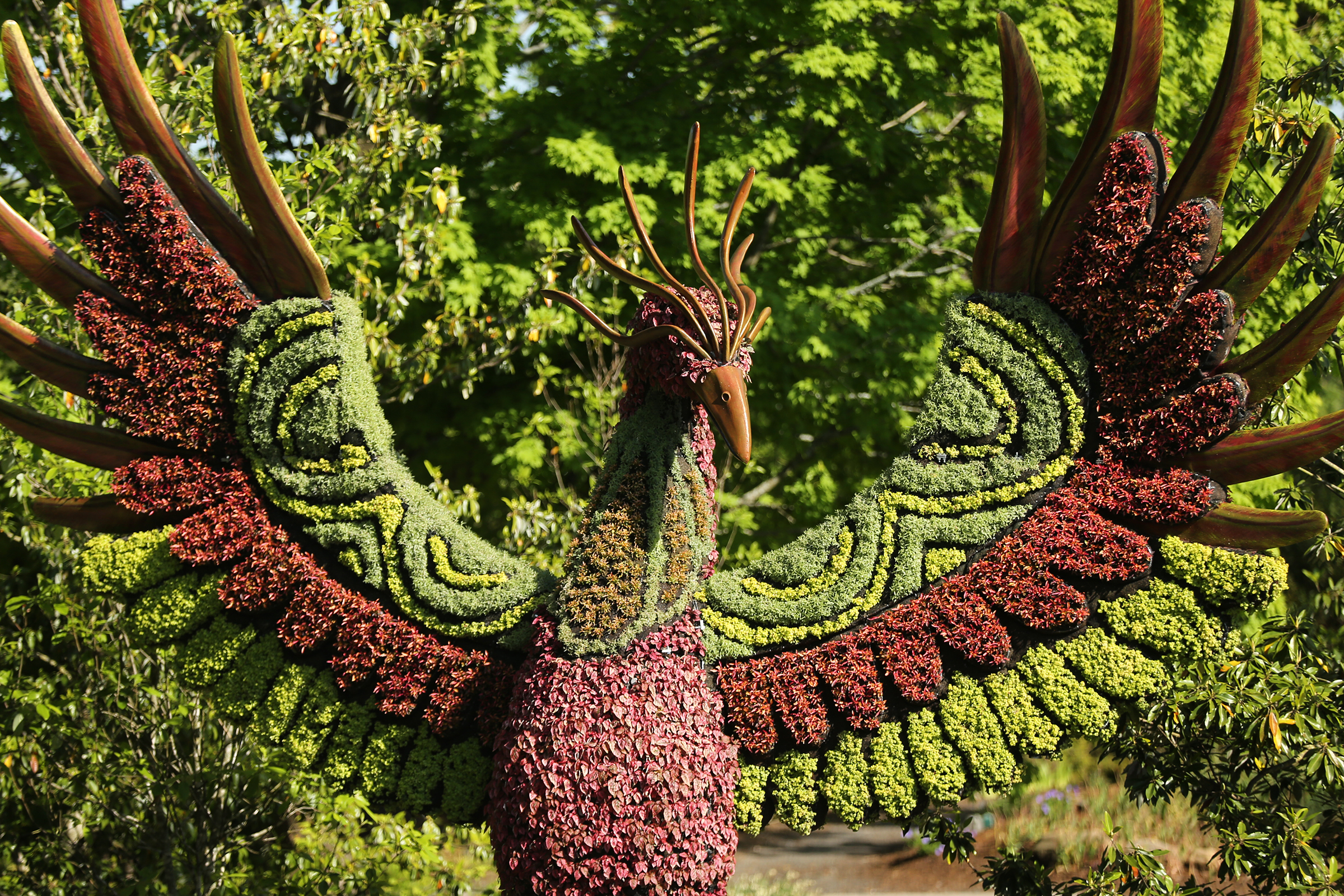 The Phoenix sculpture is one of the delicate works of art in Imaginary Worlds at Atlanta Botanical Gardens on Monday, April 30, 2018, in Atlanta. Curtis Compton/ccompton@ajc.com