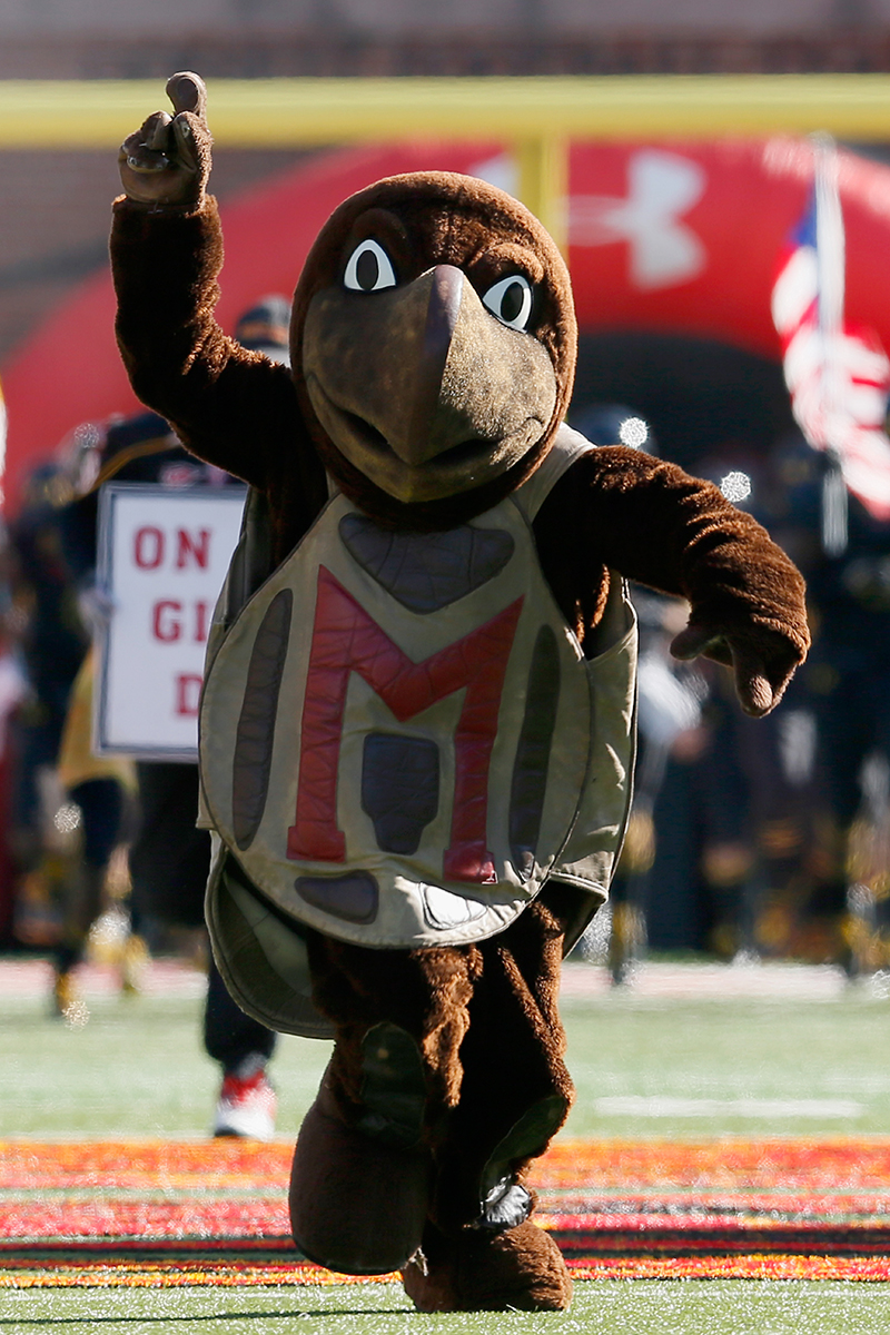 College football mascots: The bugs & reptiles