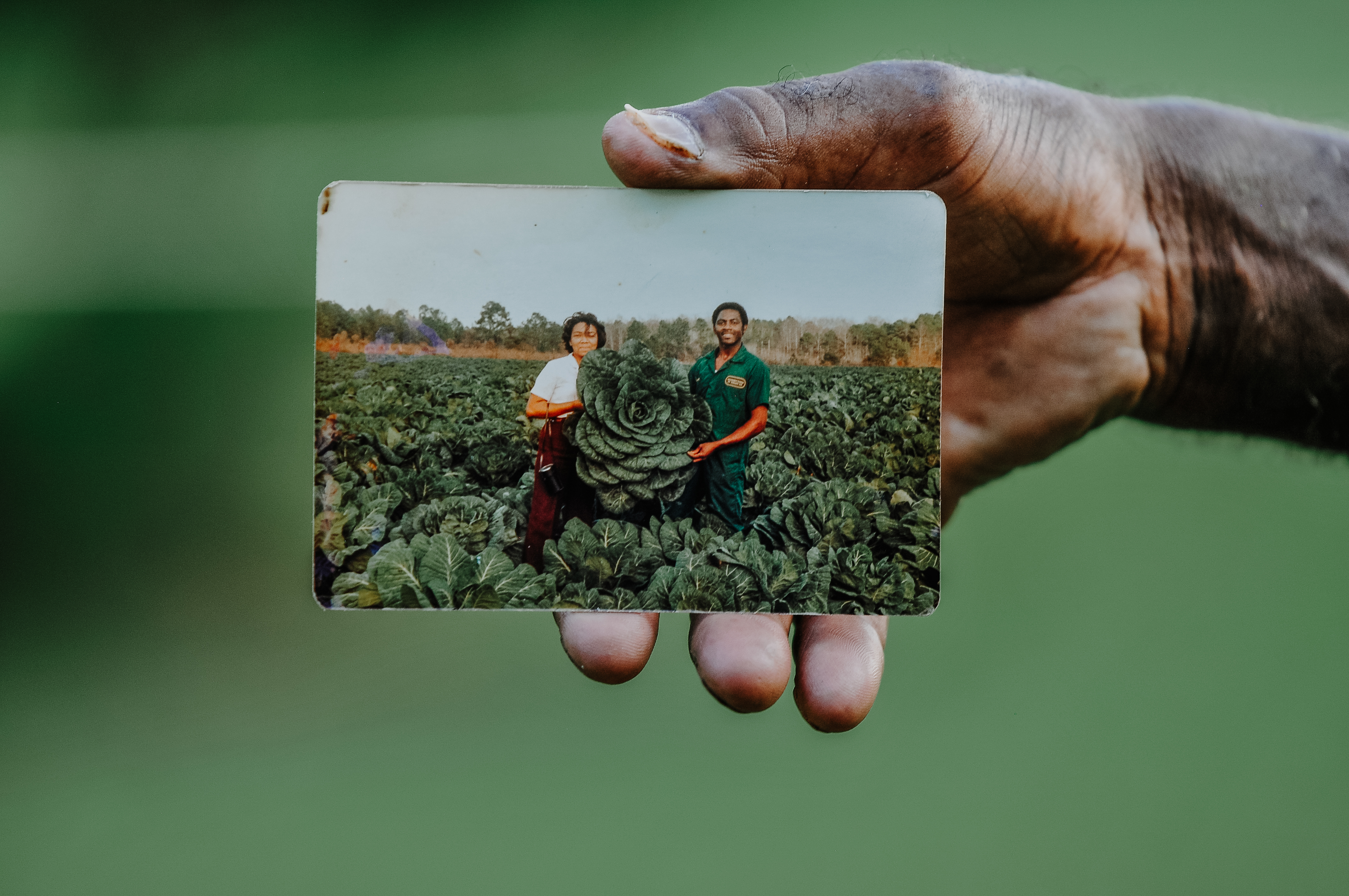 Donnie McCrary lost his farm after a deep freeze in 1985 wiped out his crops in 1986, and he was unable to get another loan. He had been known for his collard greens, which sometimes grew heads as heavy as six pounds.