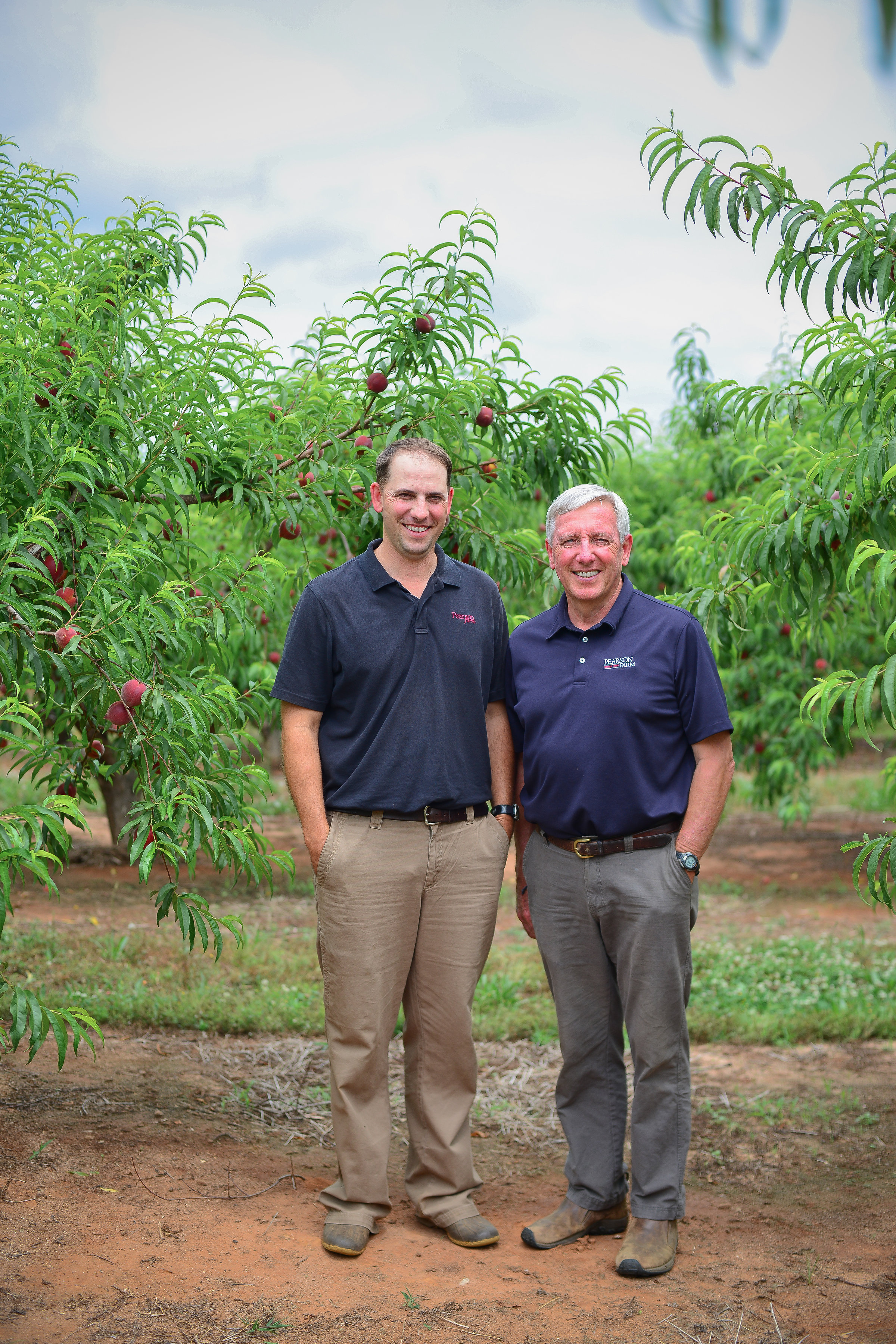 Your Guide to Choosing the Perfect Peach – Pearson Farm