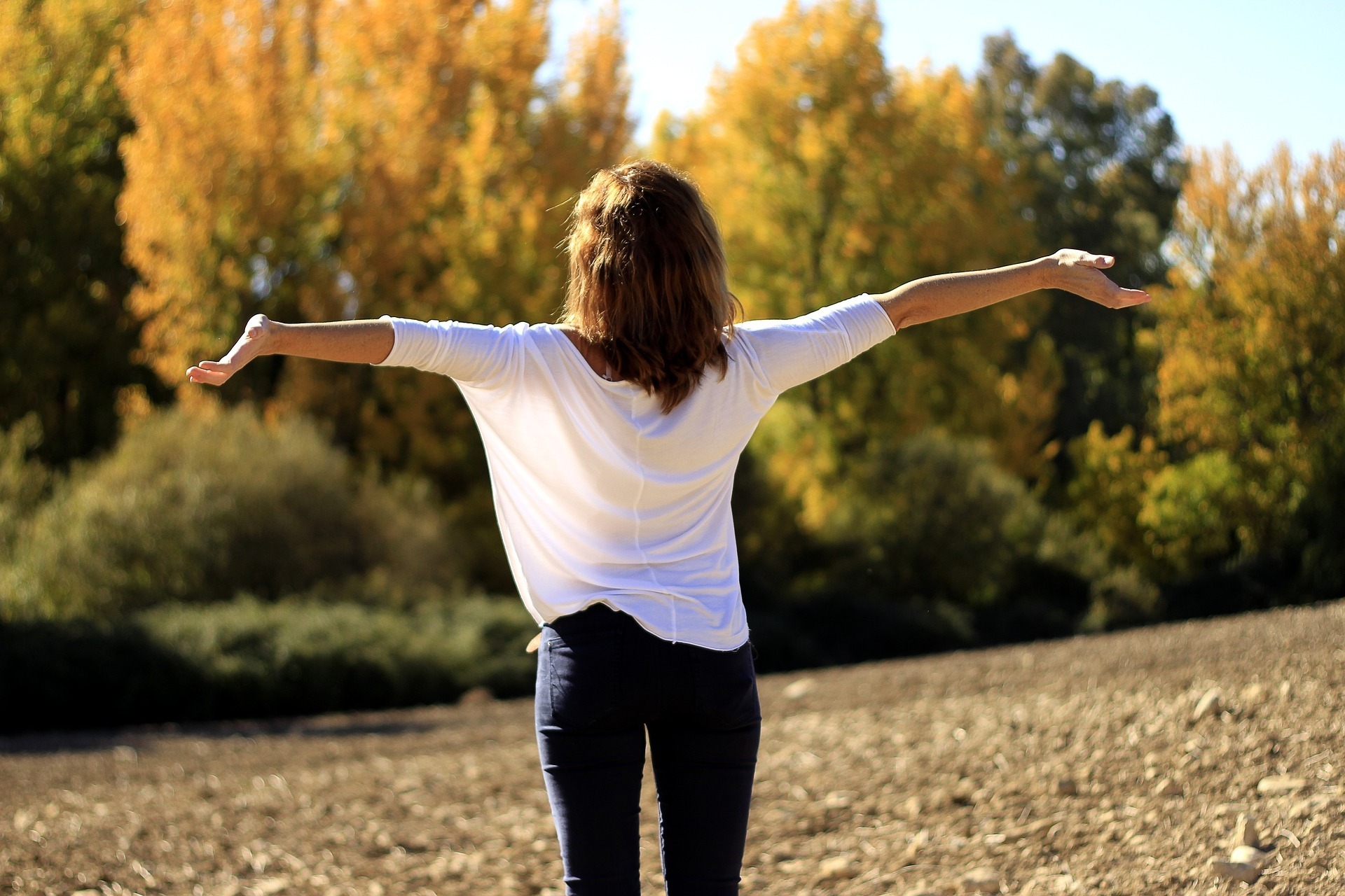 Joyful Daily: Advice for improving mindfulness and actively seeking joy -  Dennis and Angela Buttimer