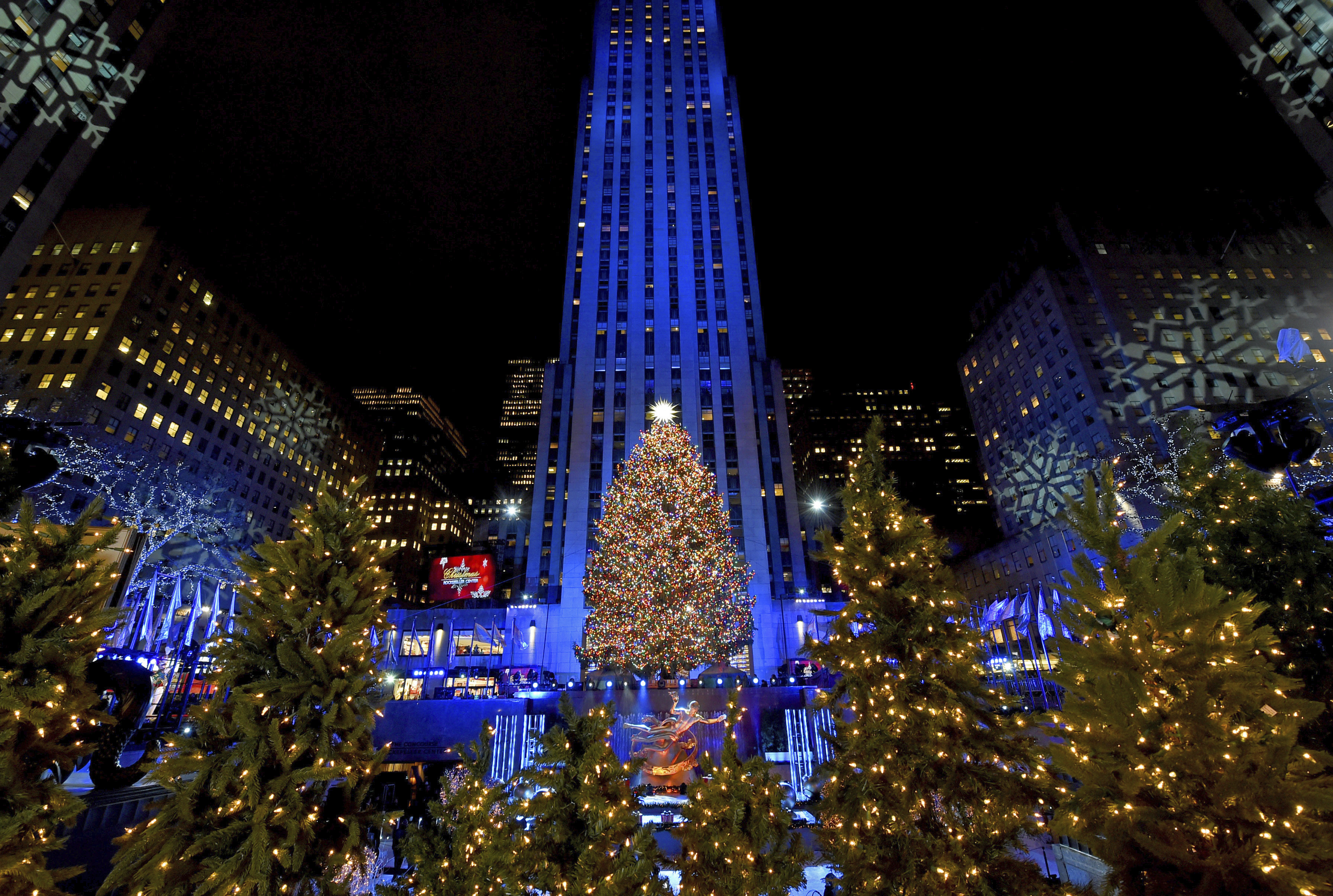 Rockefeller christmas deals tree 2018