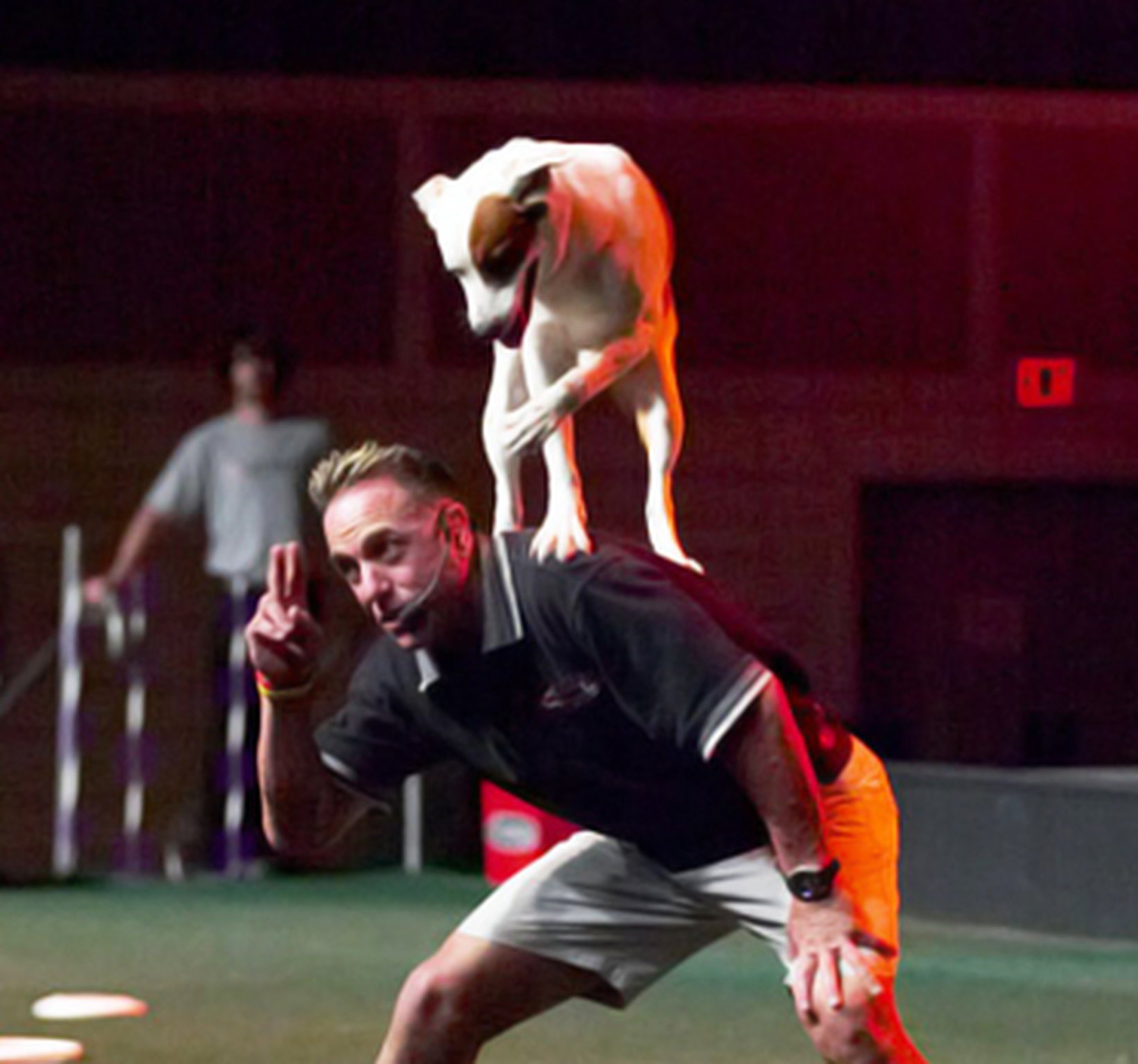 Jump is a high-energy canine thrill show features dogs performing incredible stunts all choreographed to upbeat music. Contributed by Stone Mountain