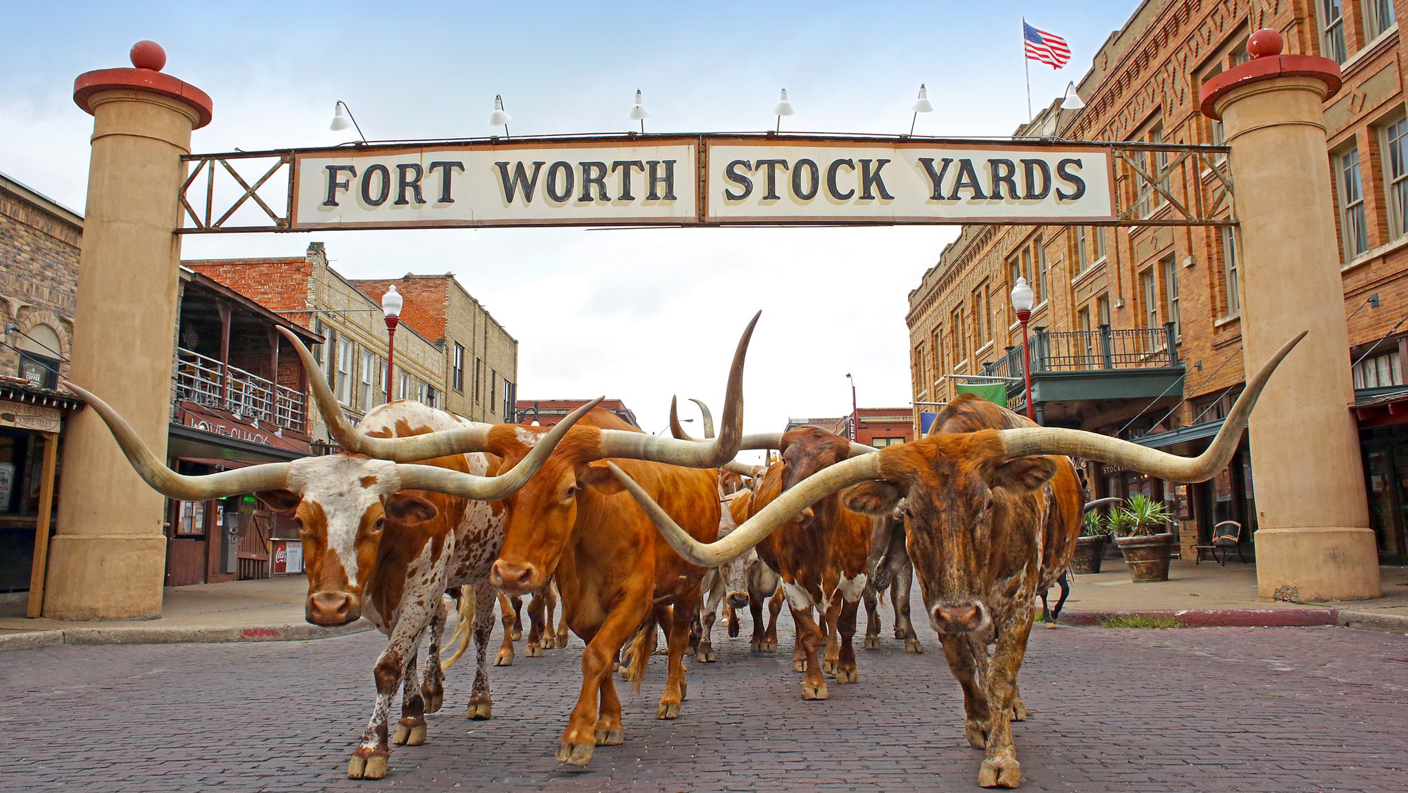 Ever dreamed of driving longhorns through the Fort Worth Stockyards? This  job is for you